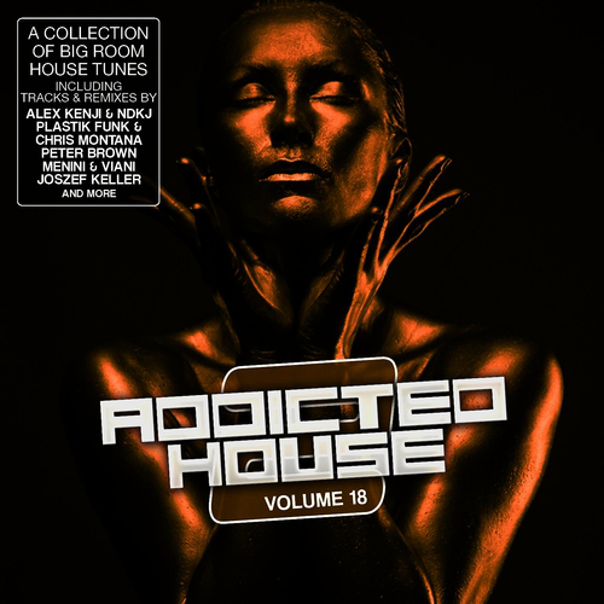 Постер альбома Addicted 2 House, Vol. 18