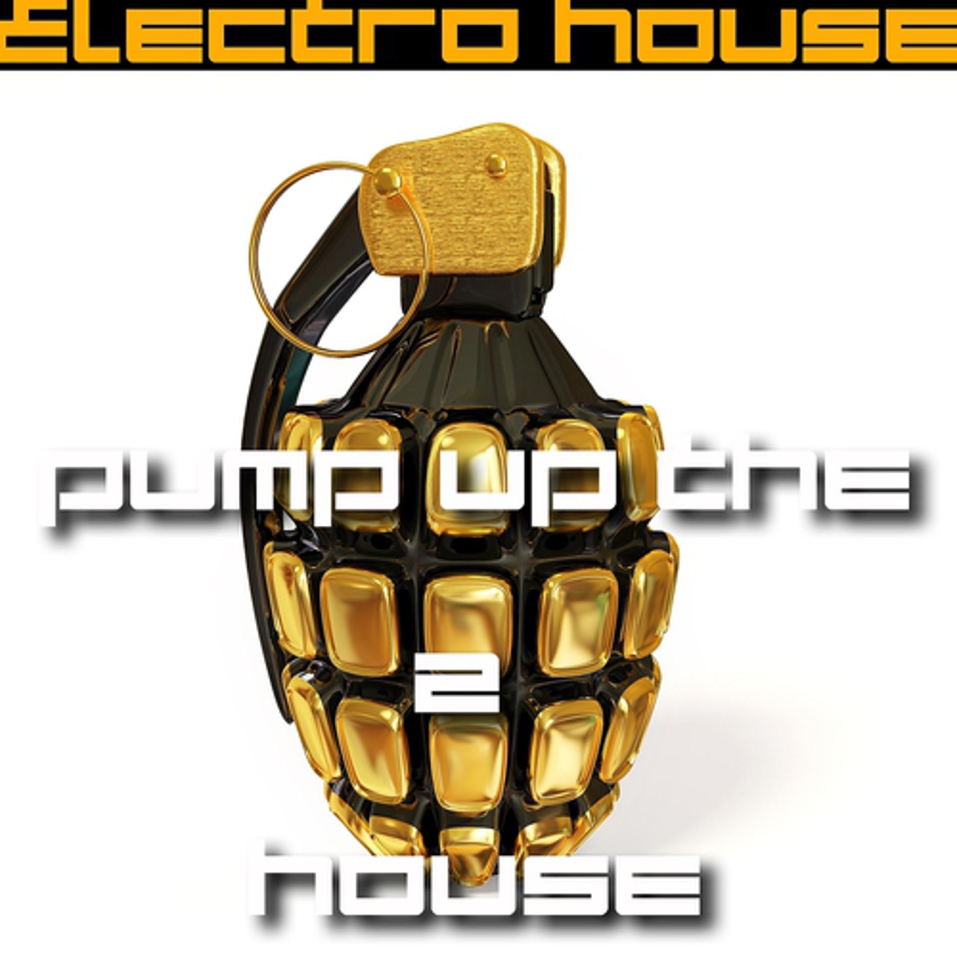 Постер альбома Pump Up the House 2 - Electro House