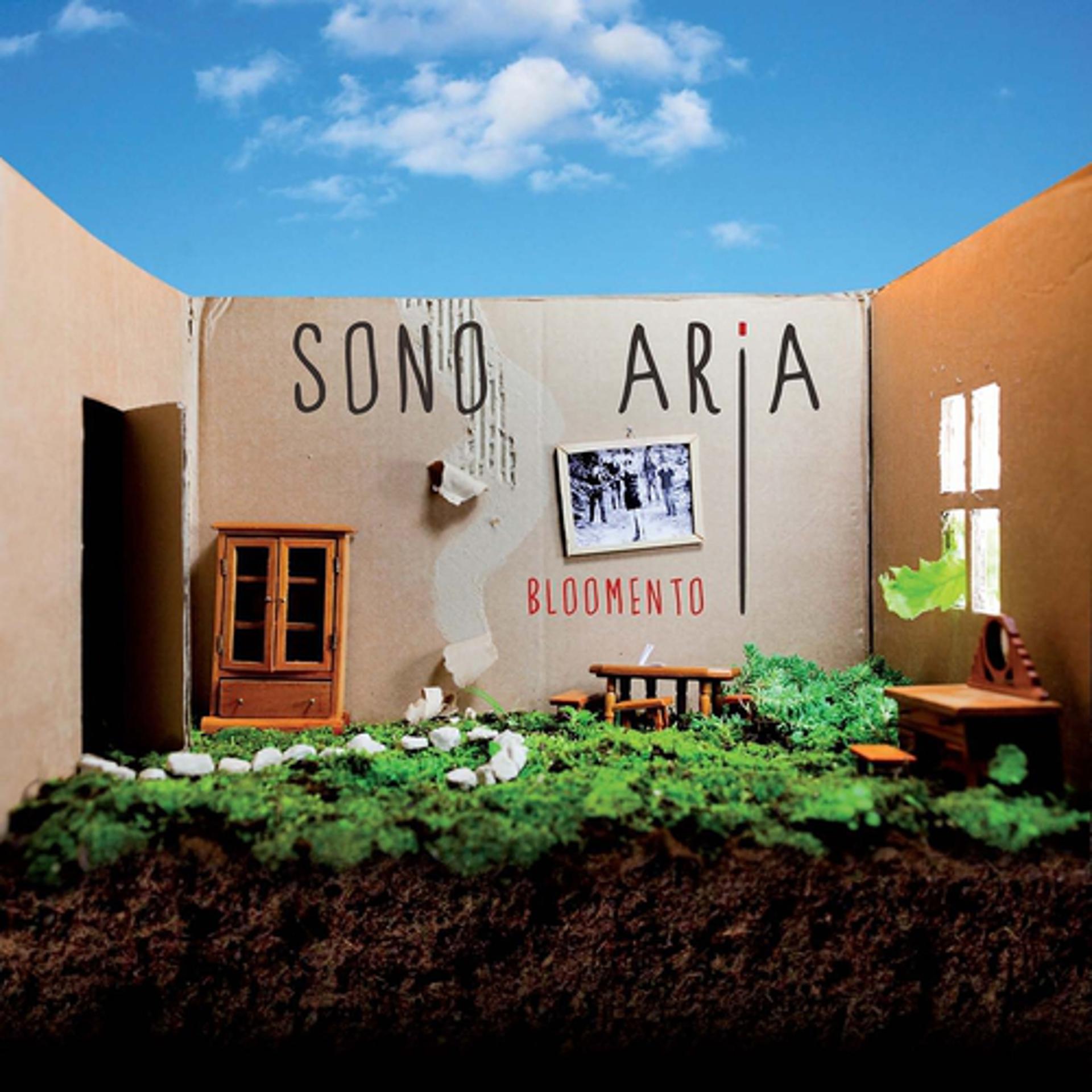 Постер альбома Sono aria