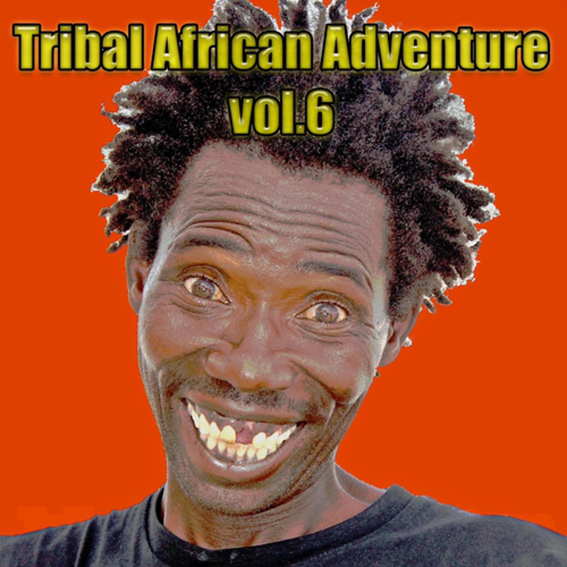 Постер альбома Tribal African Adventure, Vol. 6
