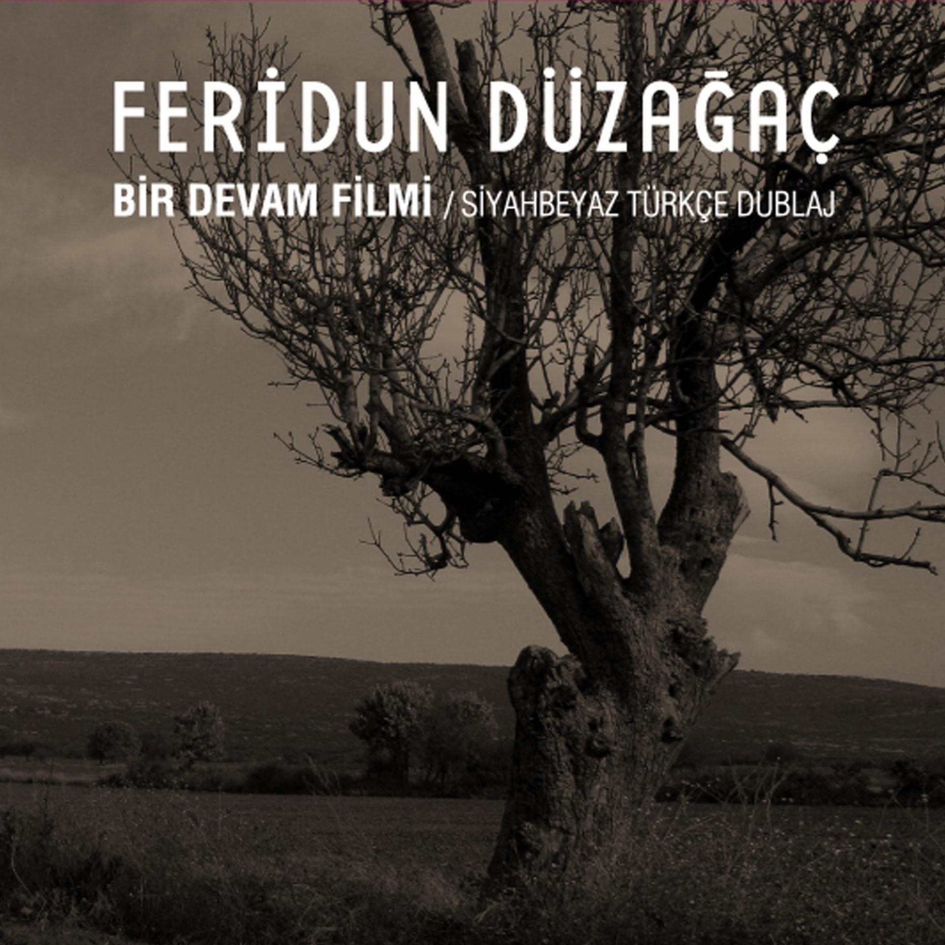 Постер альбома Bir Devam Filmi
