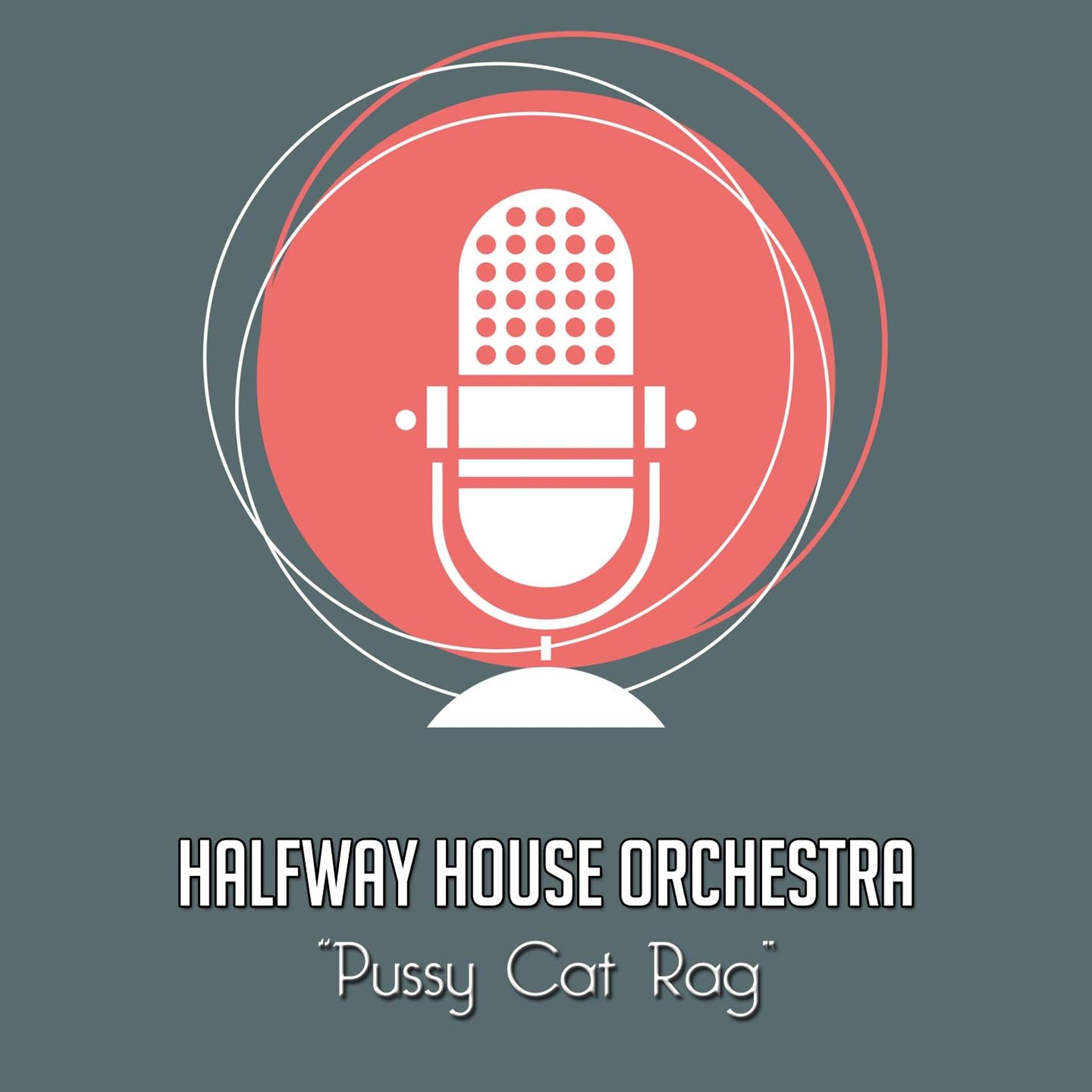 Постер альбома Pussy Cat Rag