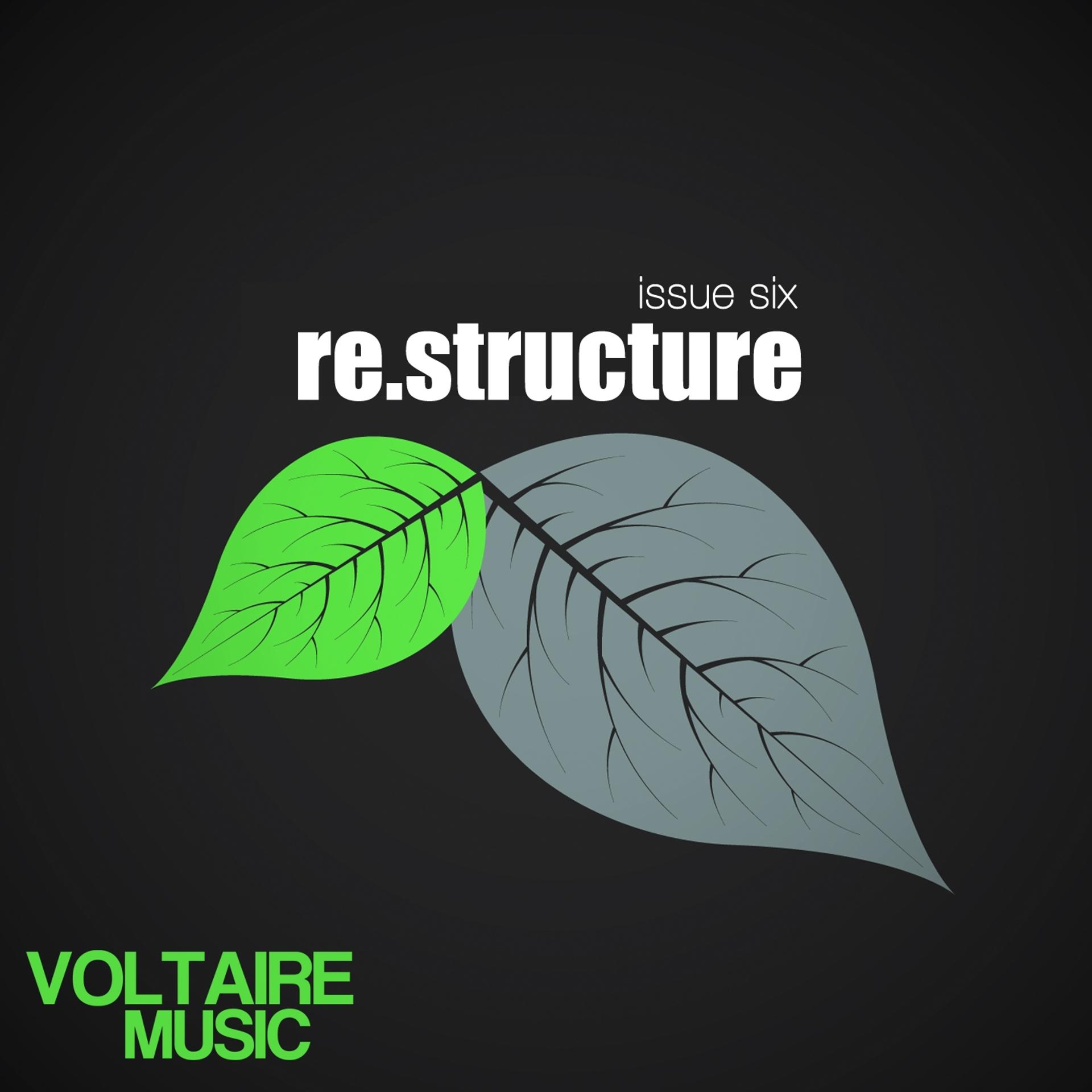 Постер альбома Re:structure Issue Six
