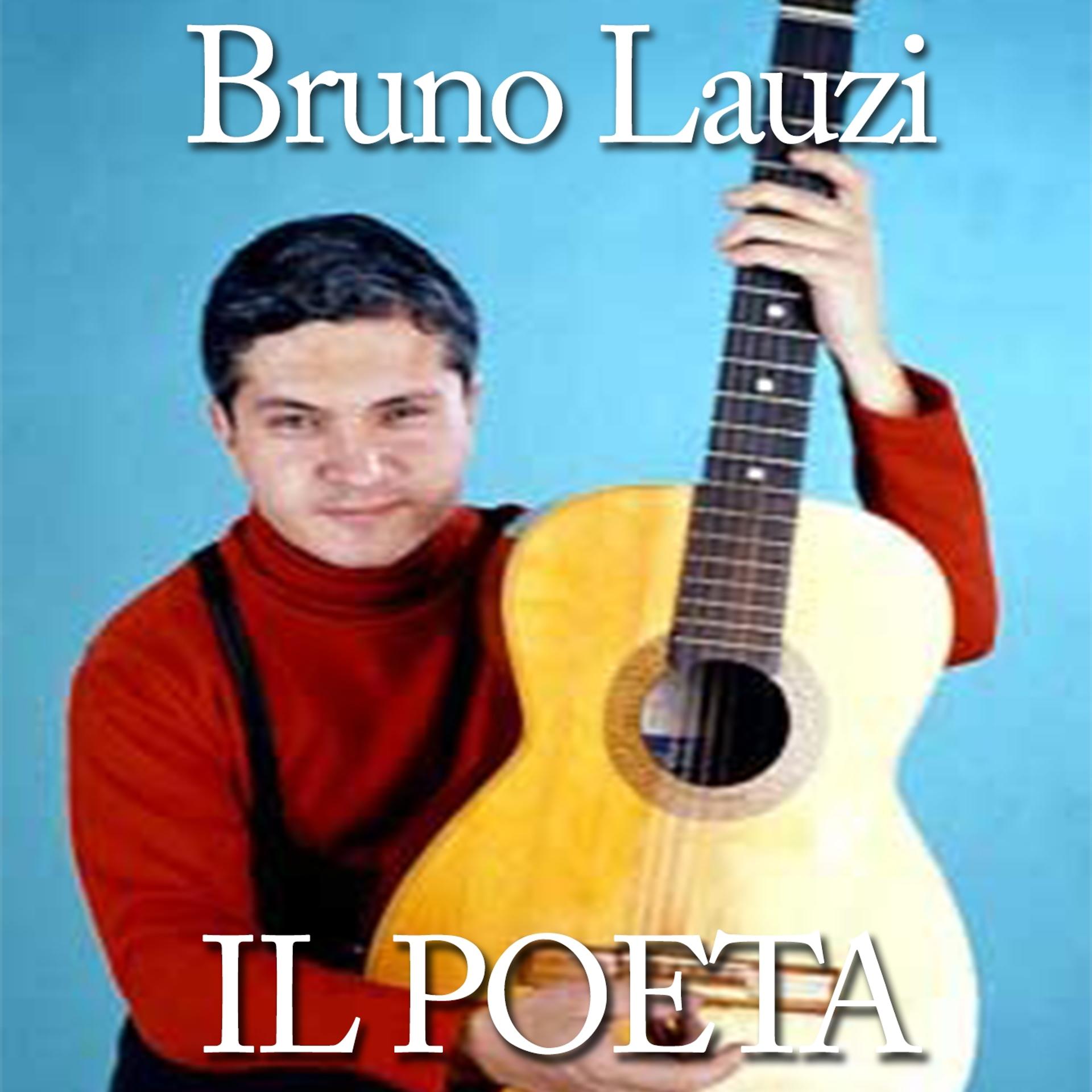 Постер альбома Il poeta