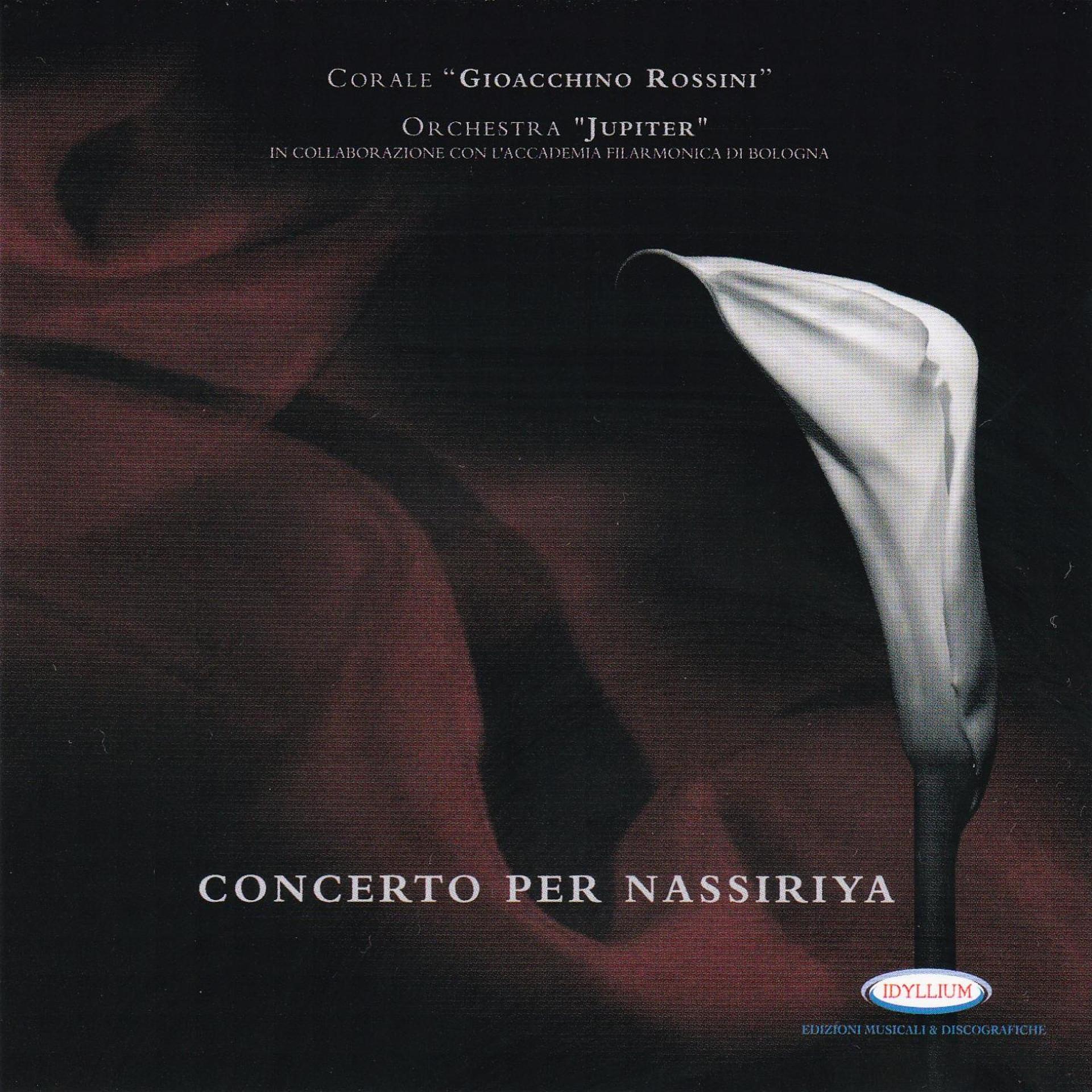 Постер альбома Concerto per Nassiriya