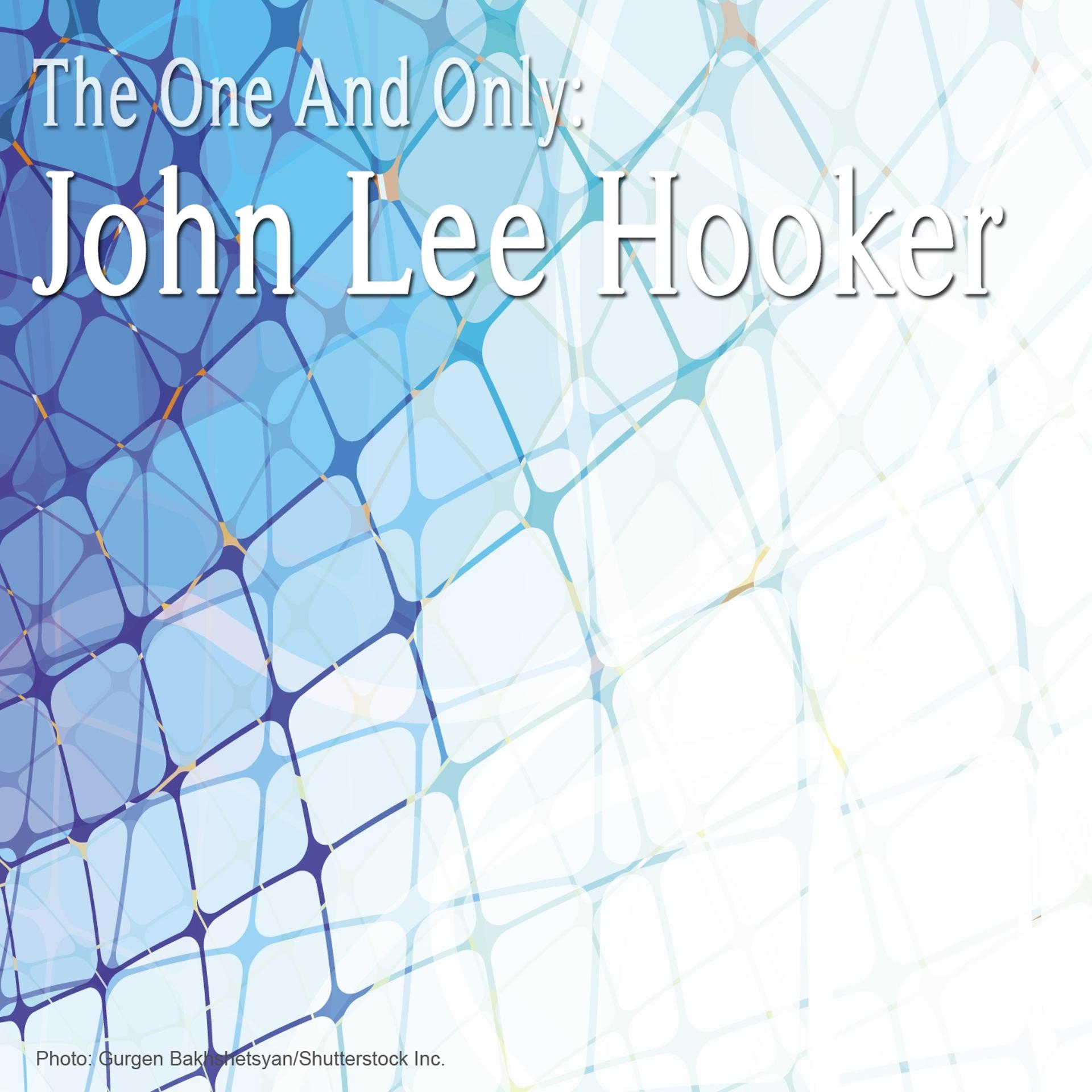 Постер альбома The One and Only : John Lee Hooker