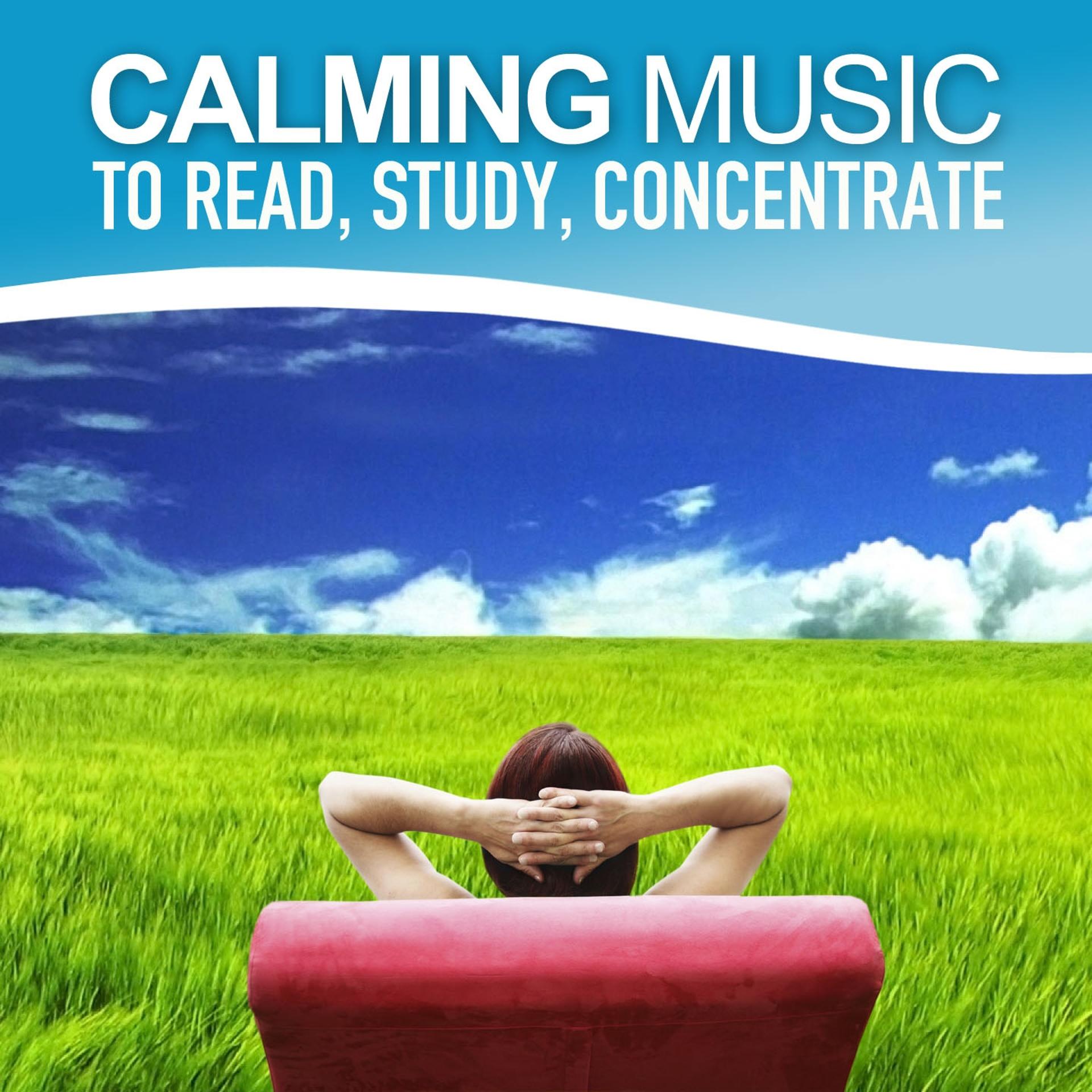 Постер альбома Calming Music to Read, Study, Increase Concentration