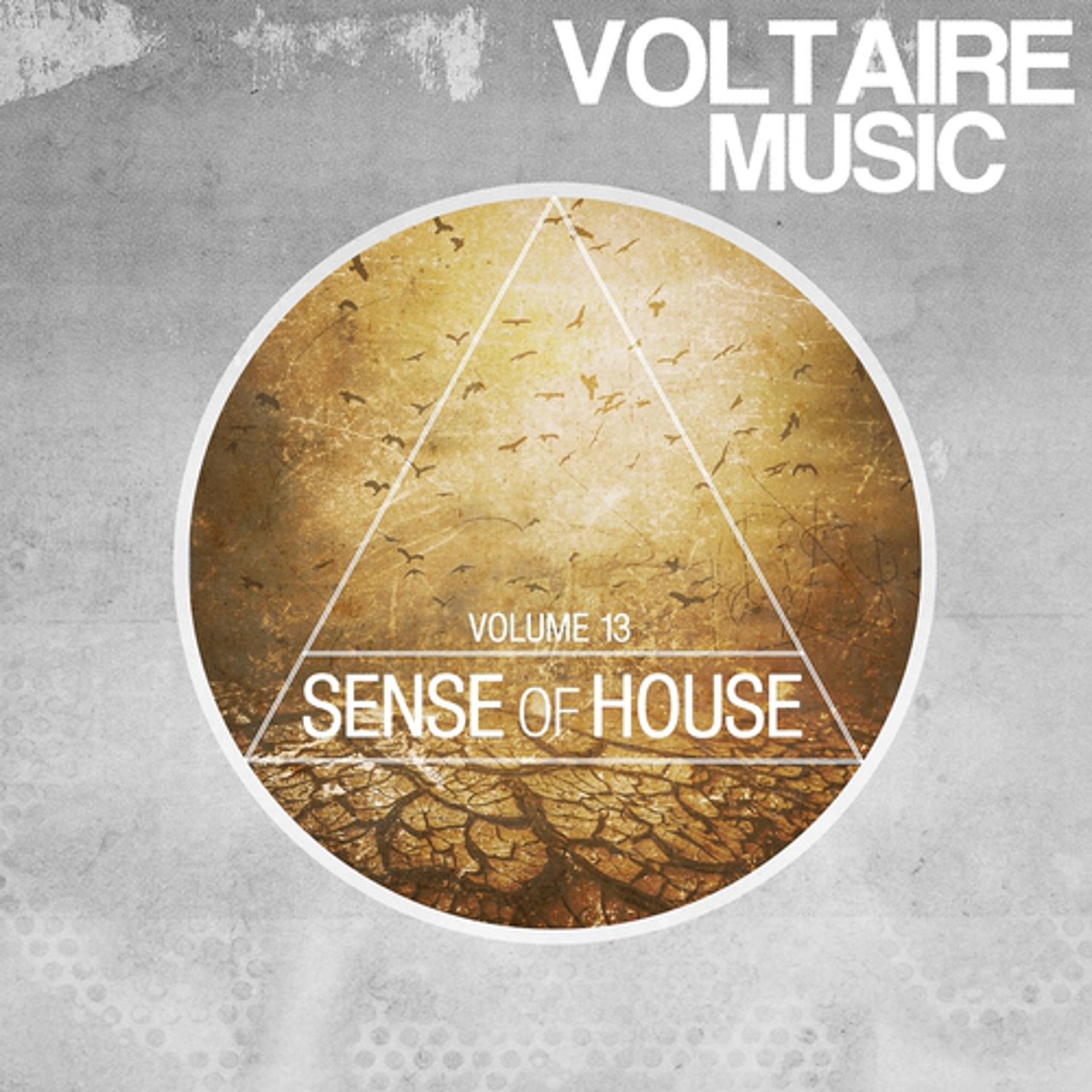 Постер альбома Sense Of House, Vol. 13