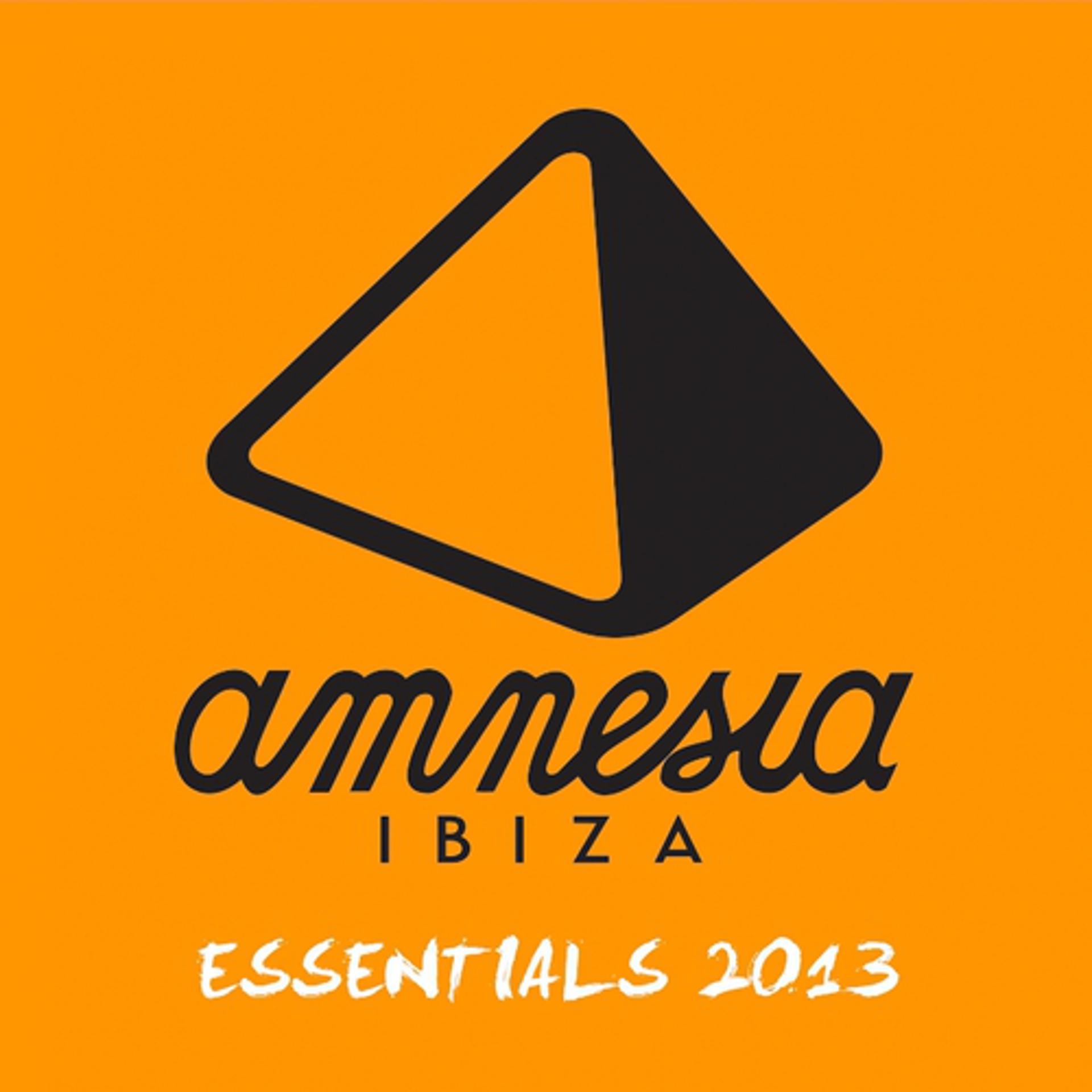 Постер альбома Amnesia Ibiza Essentials 2013