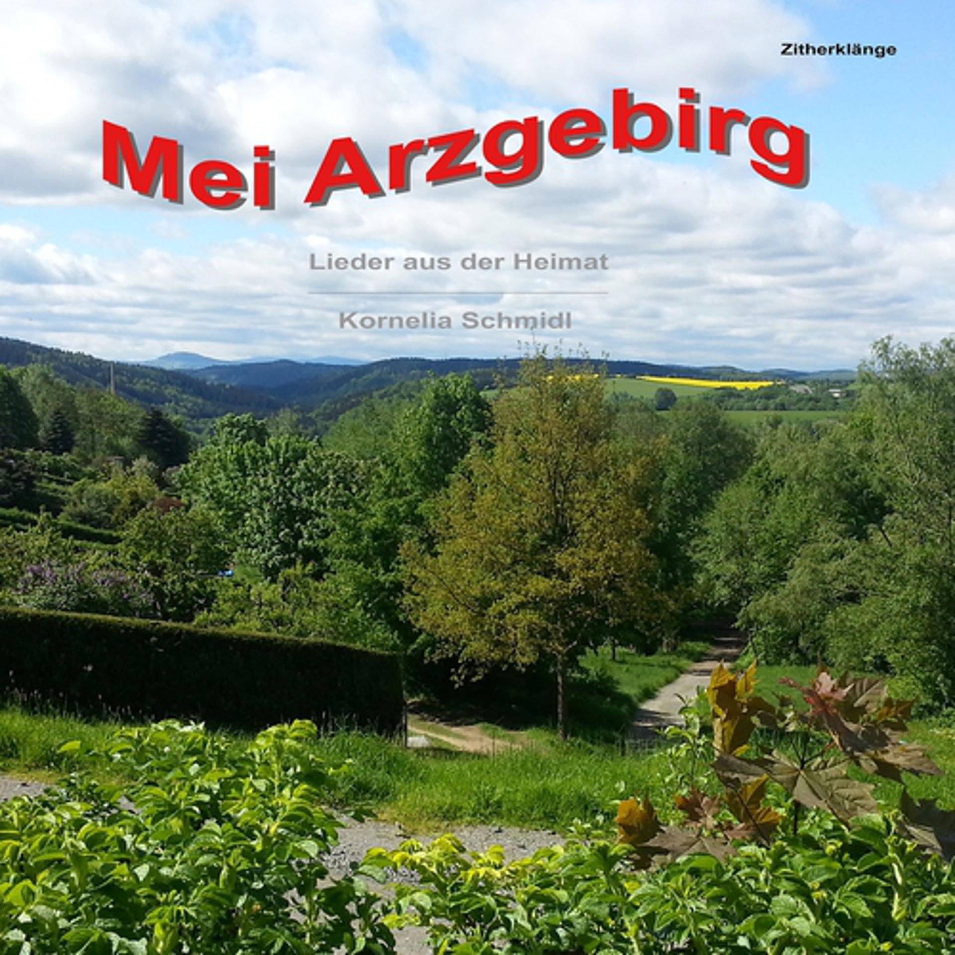 Постер альбома Mei Arzgebirg