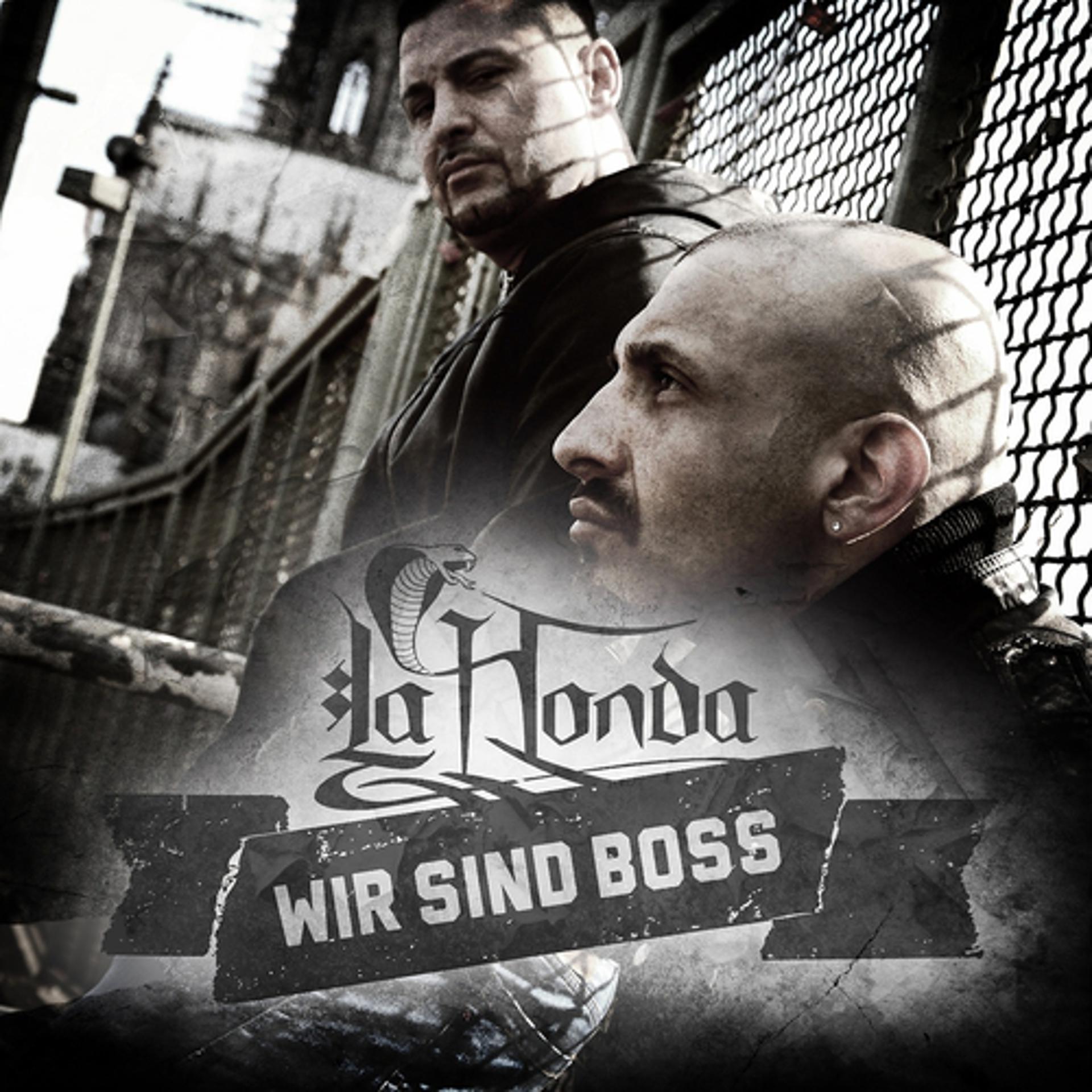 Постер альбома Wir sind Boss