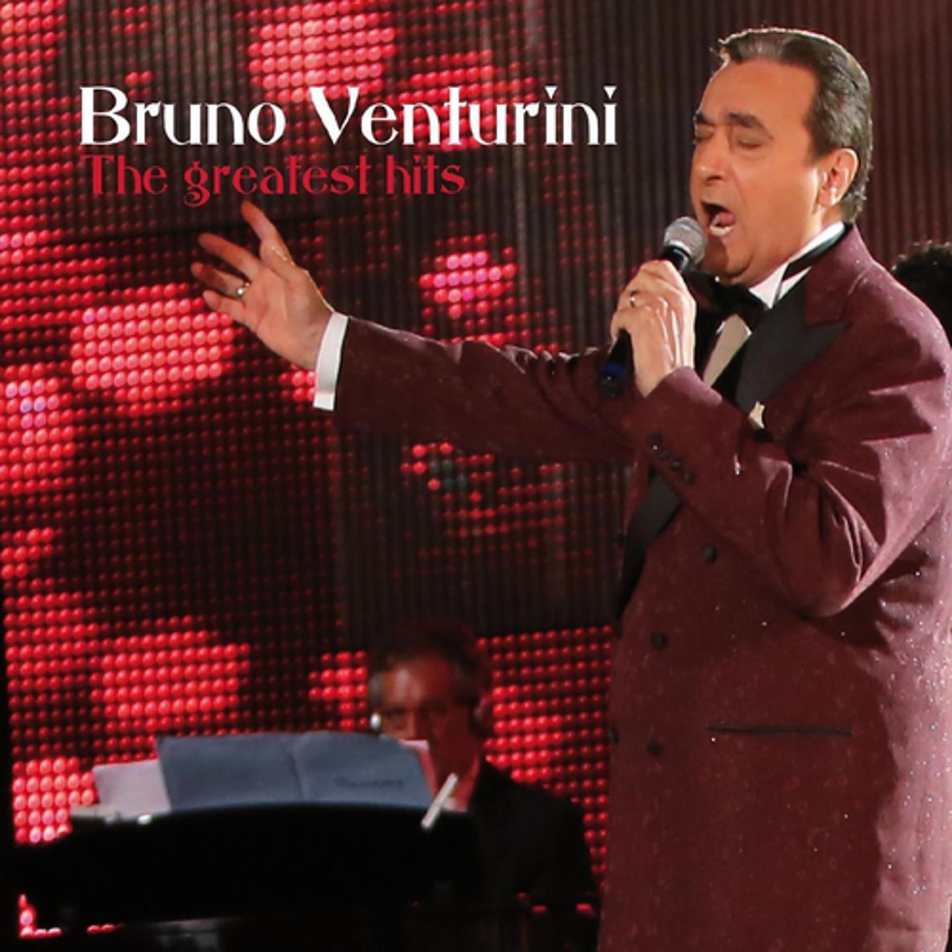 Постер альбома Bruno Venturini: The Greatest Hits
