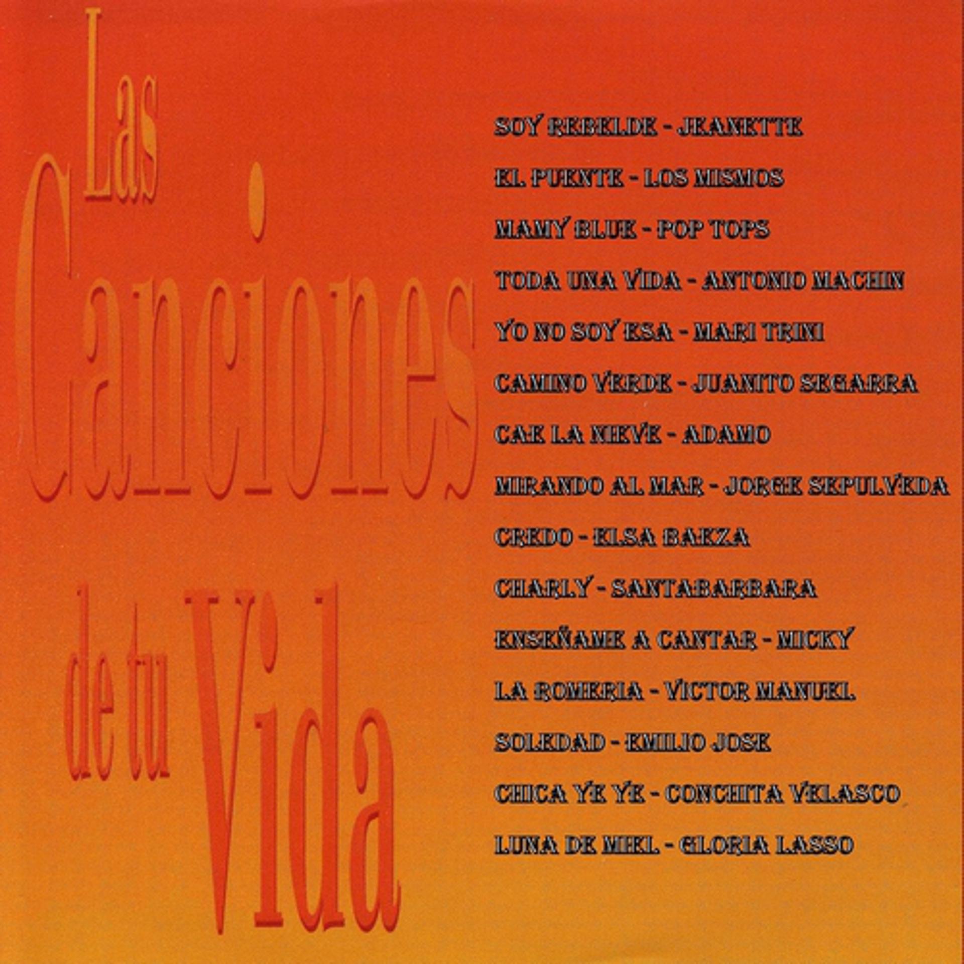 Постер альбома Las Canciones de Tu Vida