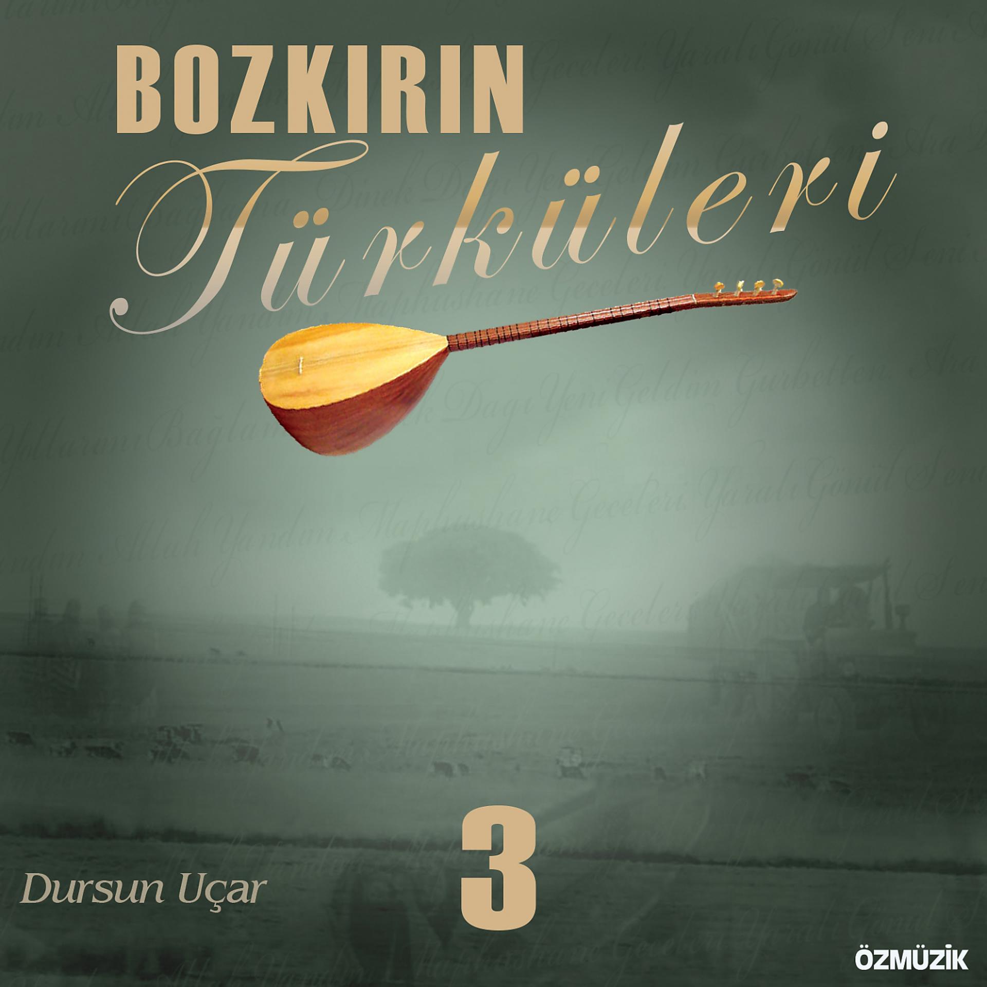 Постер альбома Bozkırın Türküleri, Vol. 3