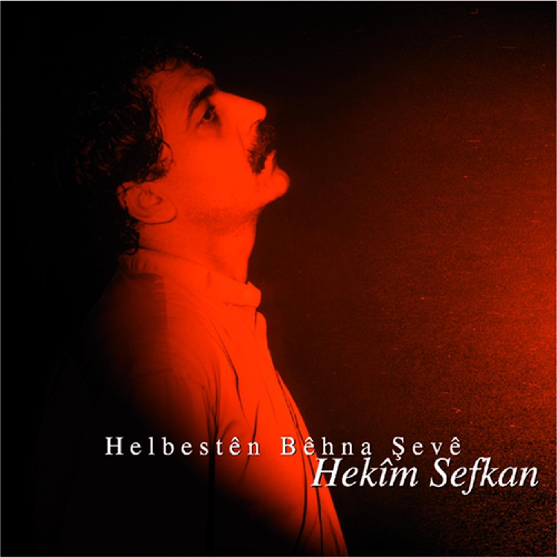 Постер альбома Helbestên Bêhna Şevê