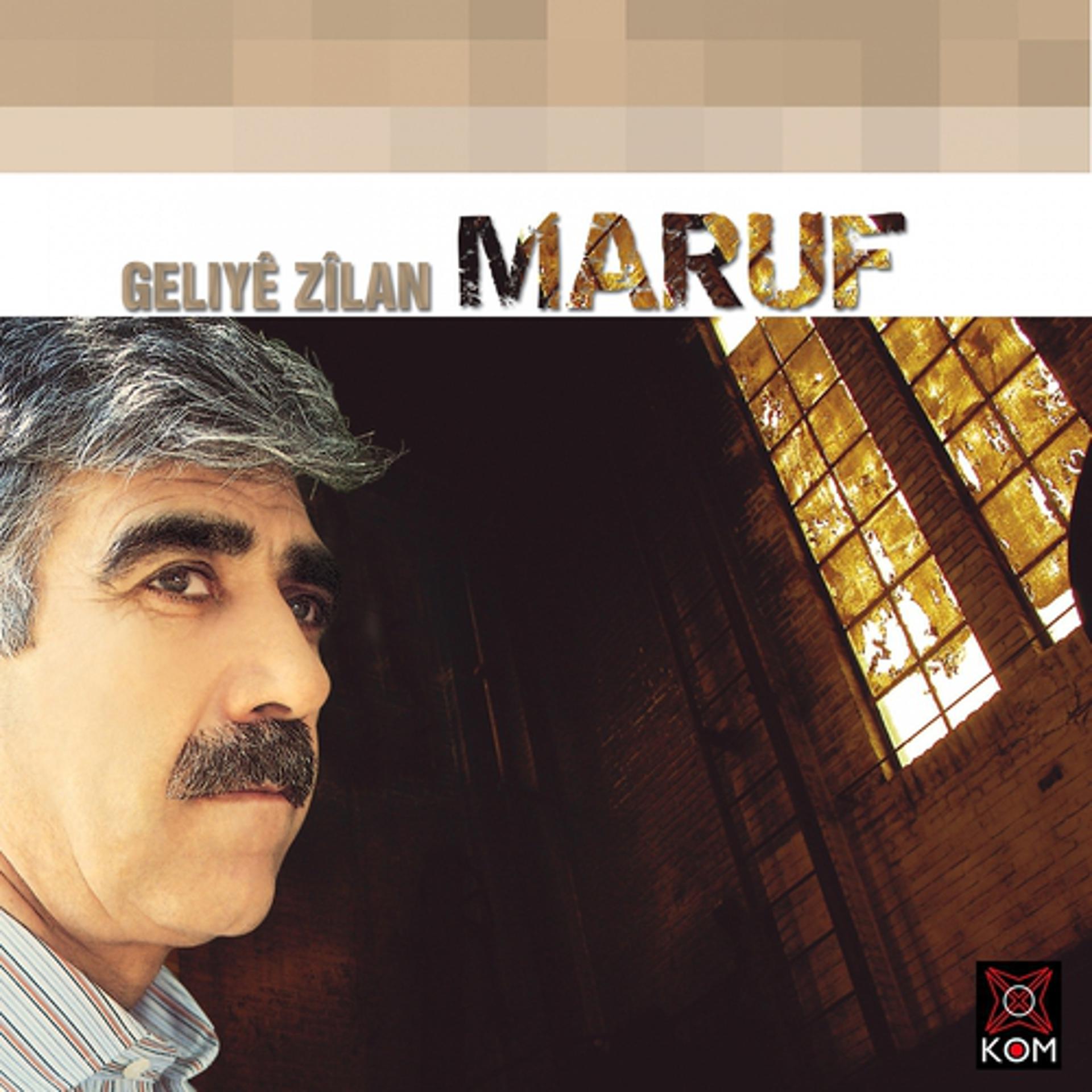 Постер альбома Geliyê Zîlan
