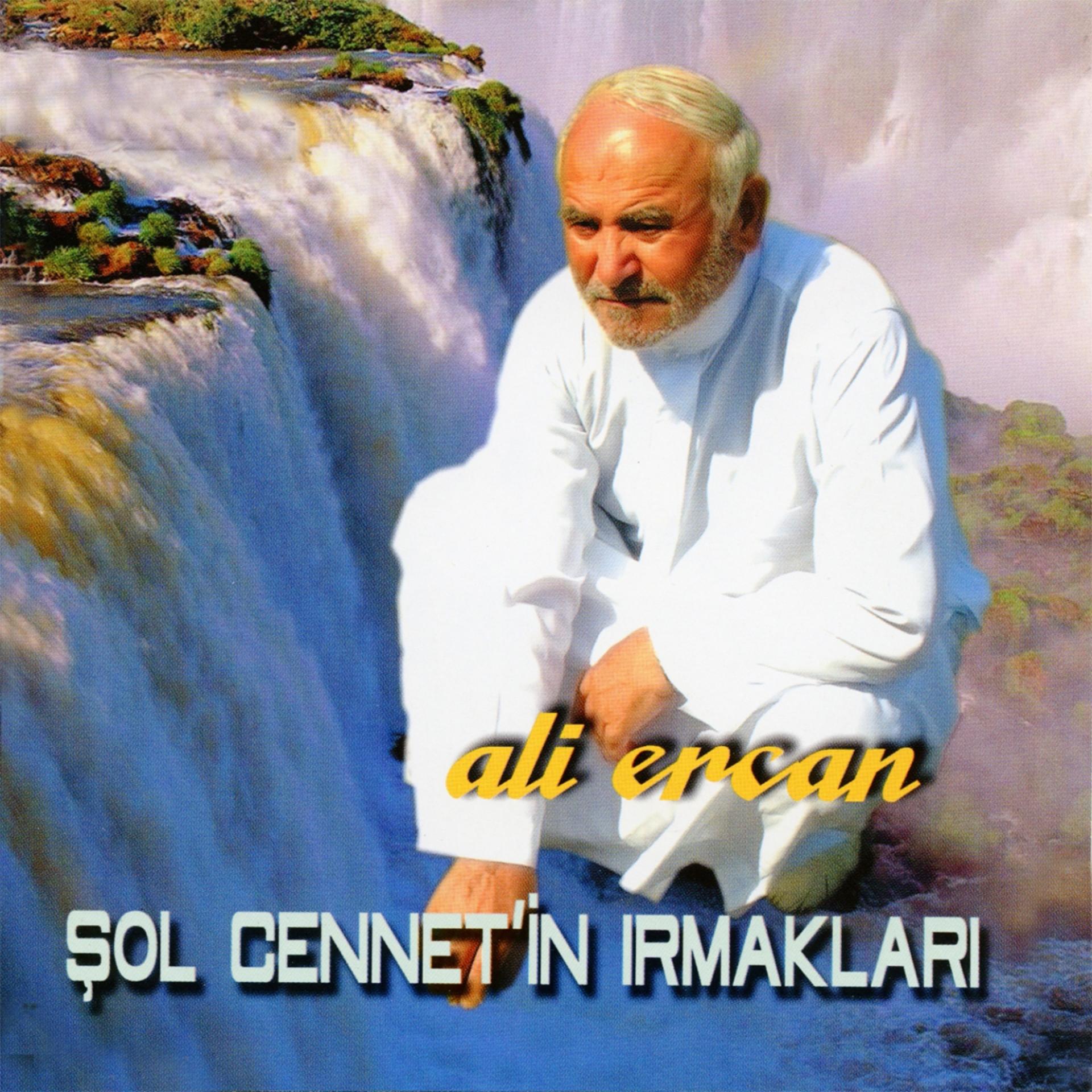 Постер альбома Şol Cennet'in Irmakları