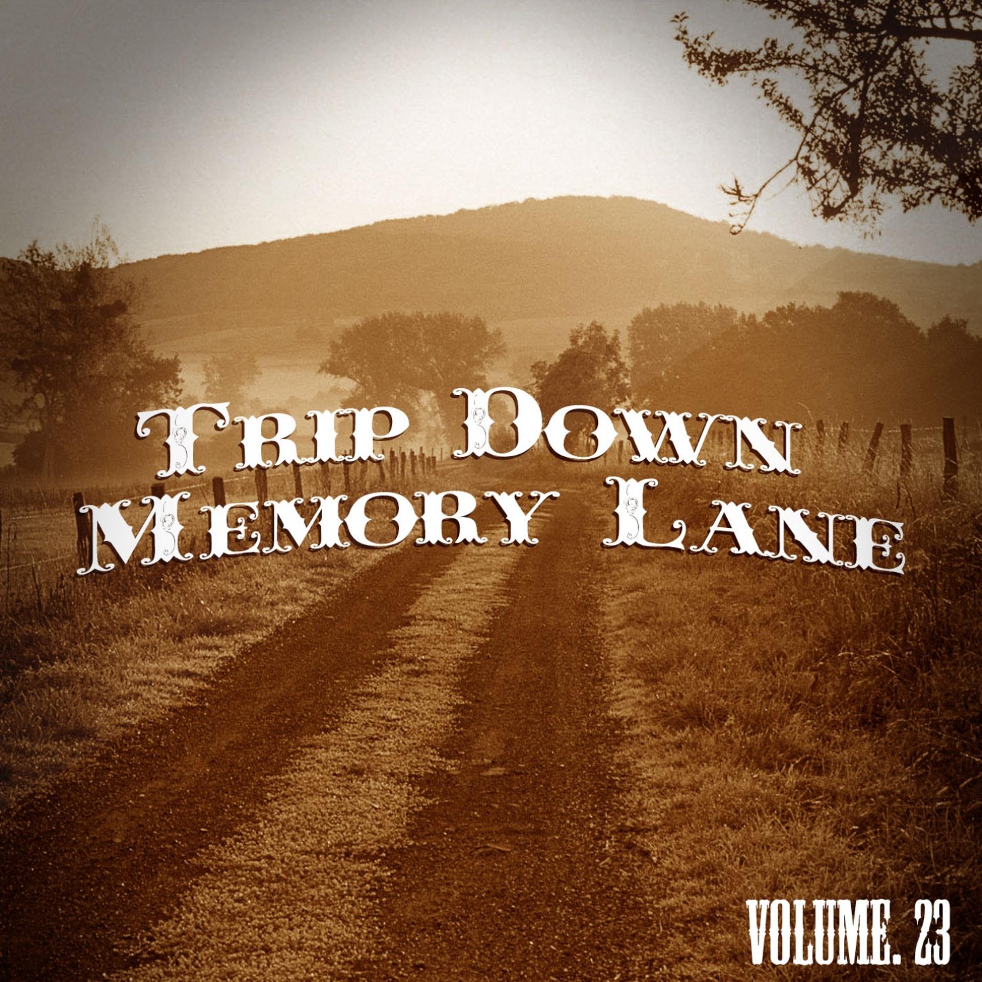 Постер альбома Trip Down Memory Lane, Vol. 23