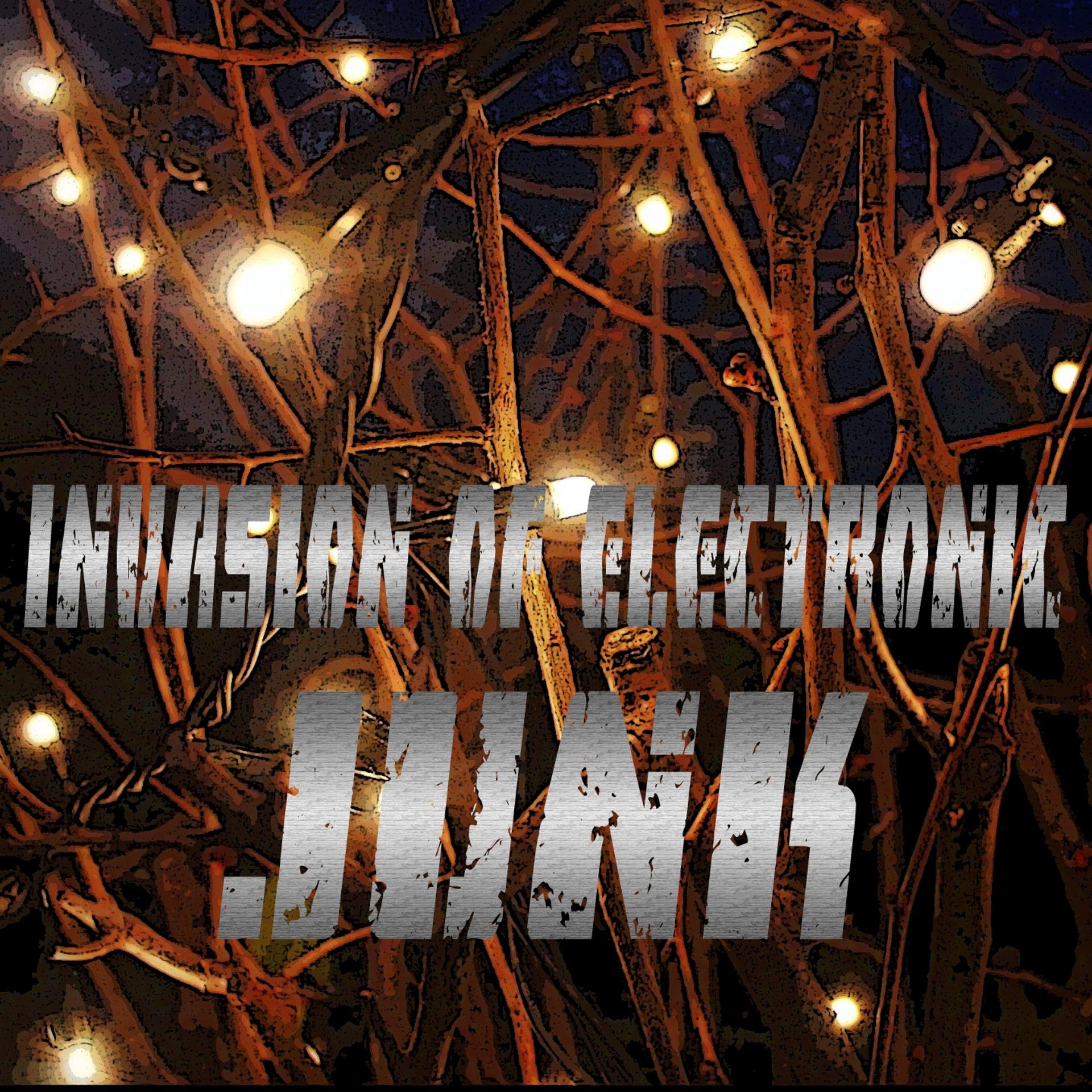 Постер альбома Invasion of Electronic Junk