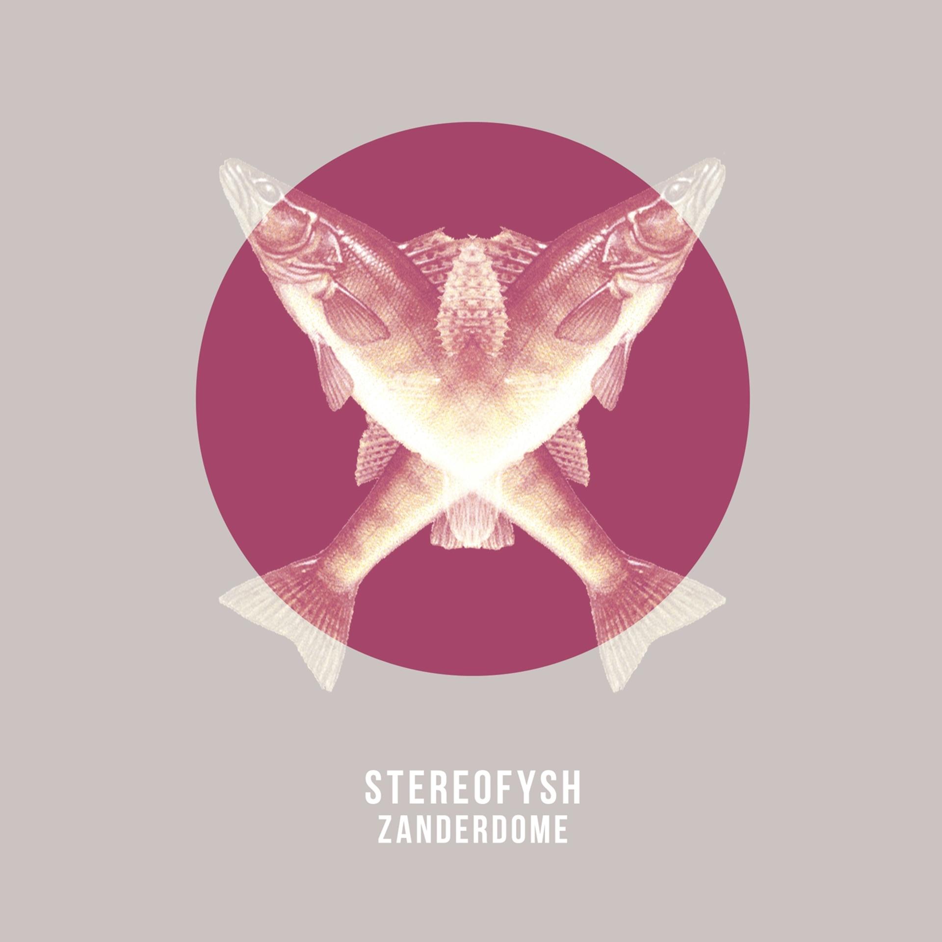 Постер альбома Zanderdome