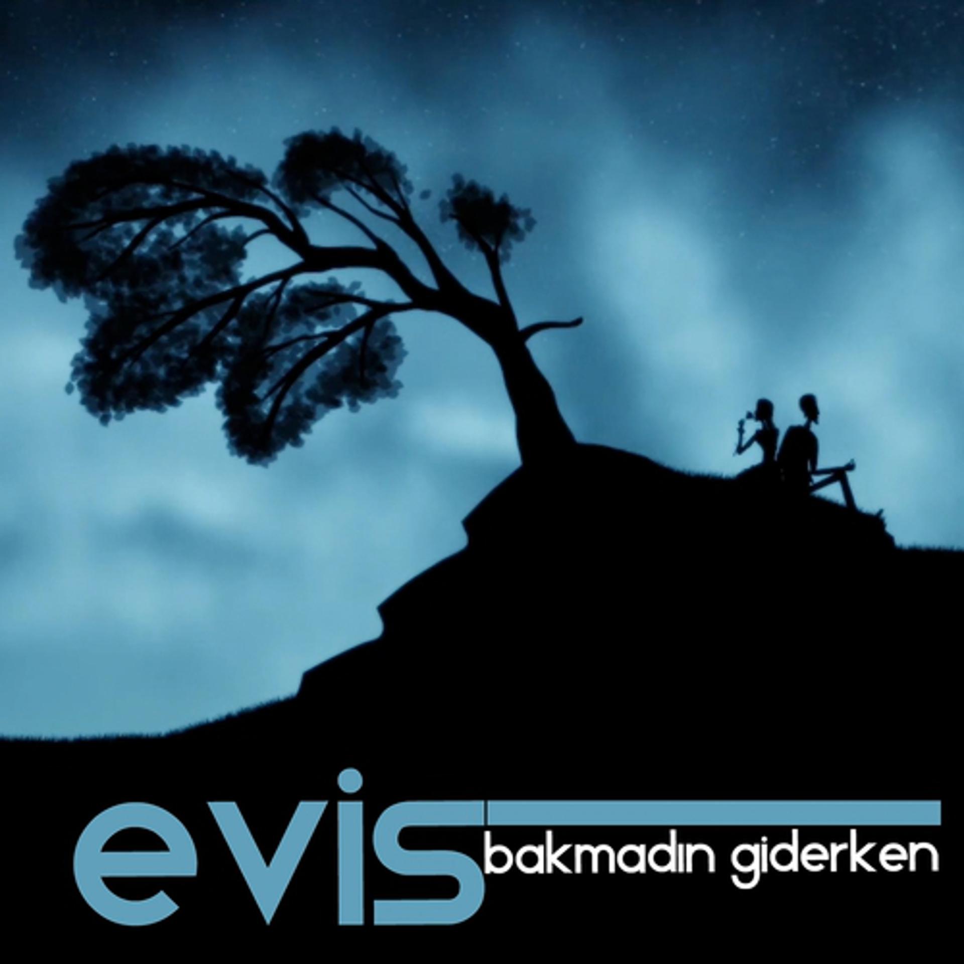 Постер альбома Bakmadın Giderken