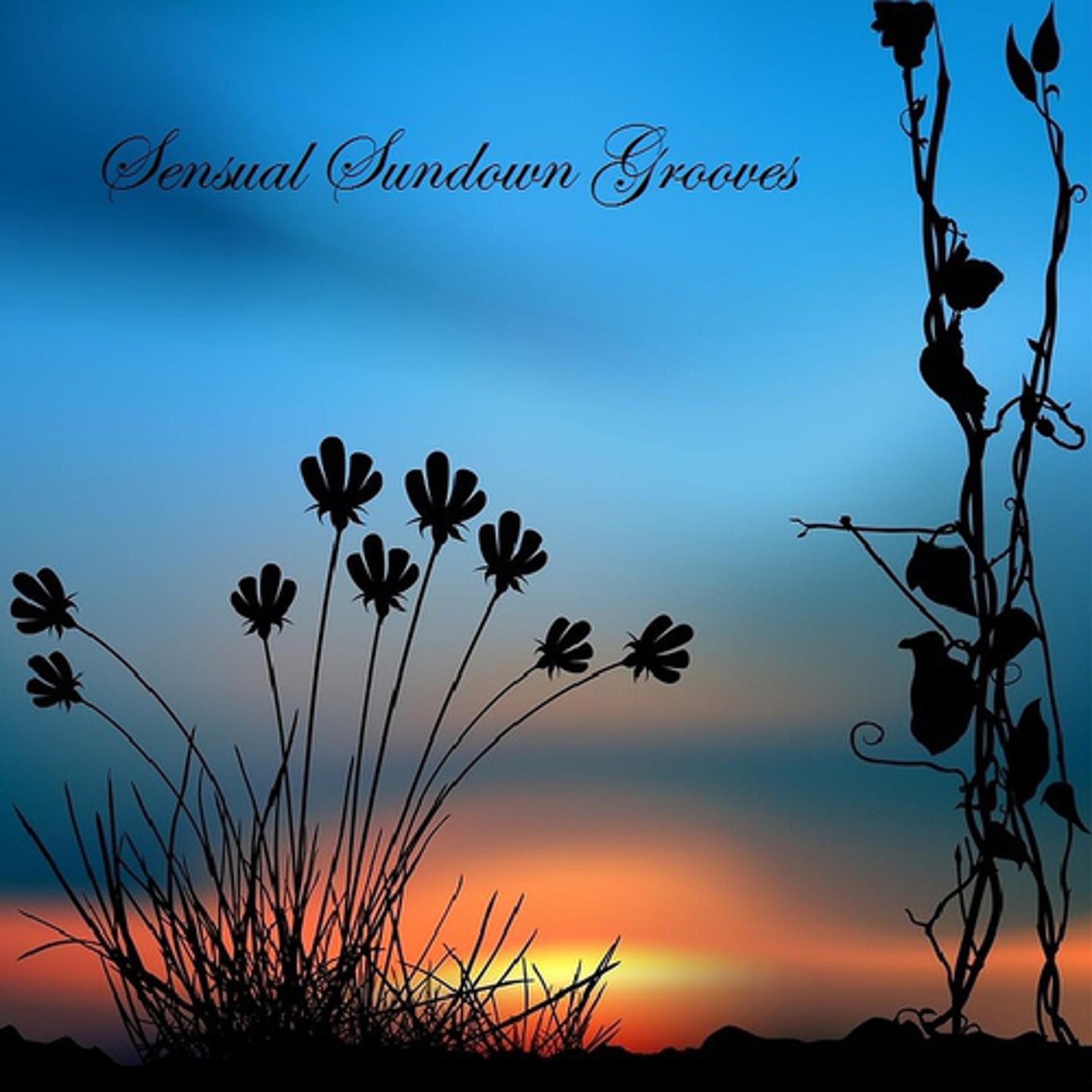 Постер альбома Sensual Sundown Grooves
