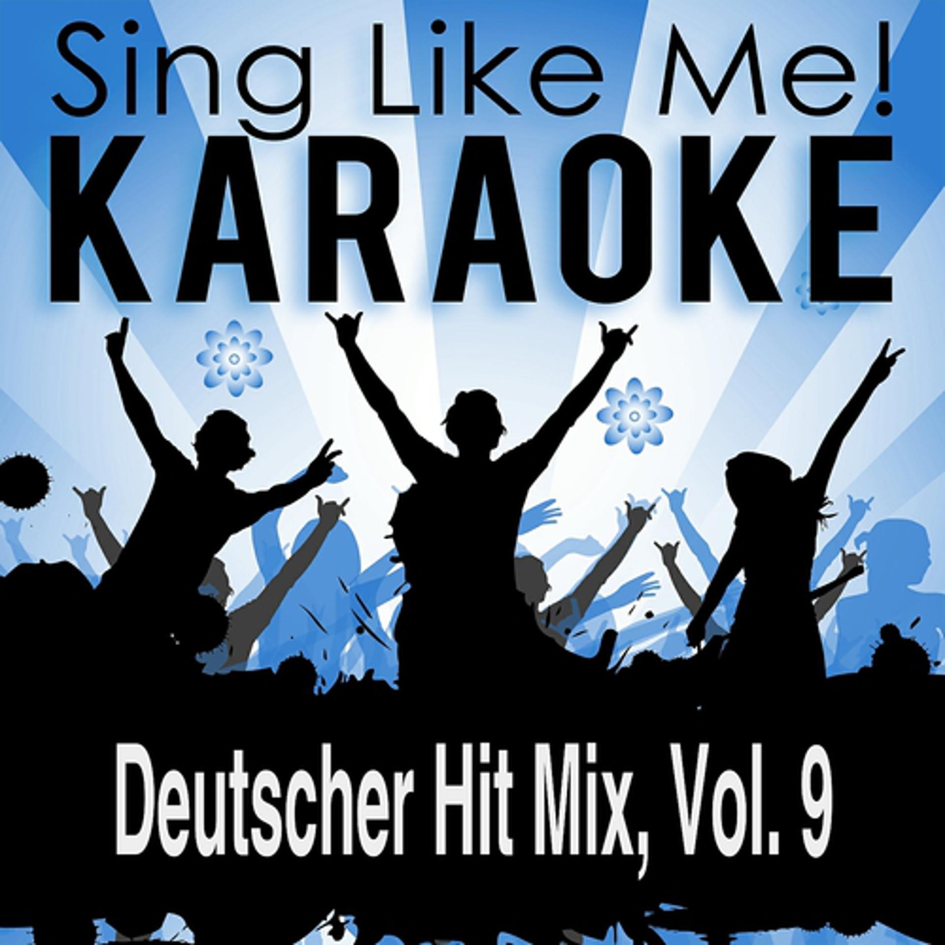 Постер альбома Deutscher Hit Mix, Vol. 9 (Karaoke Version)