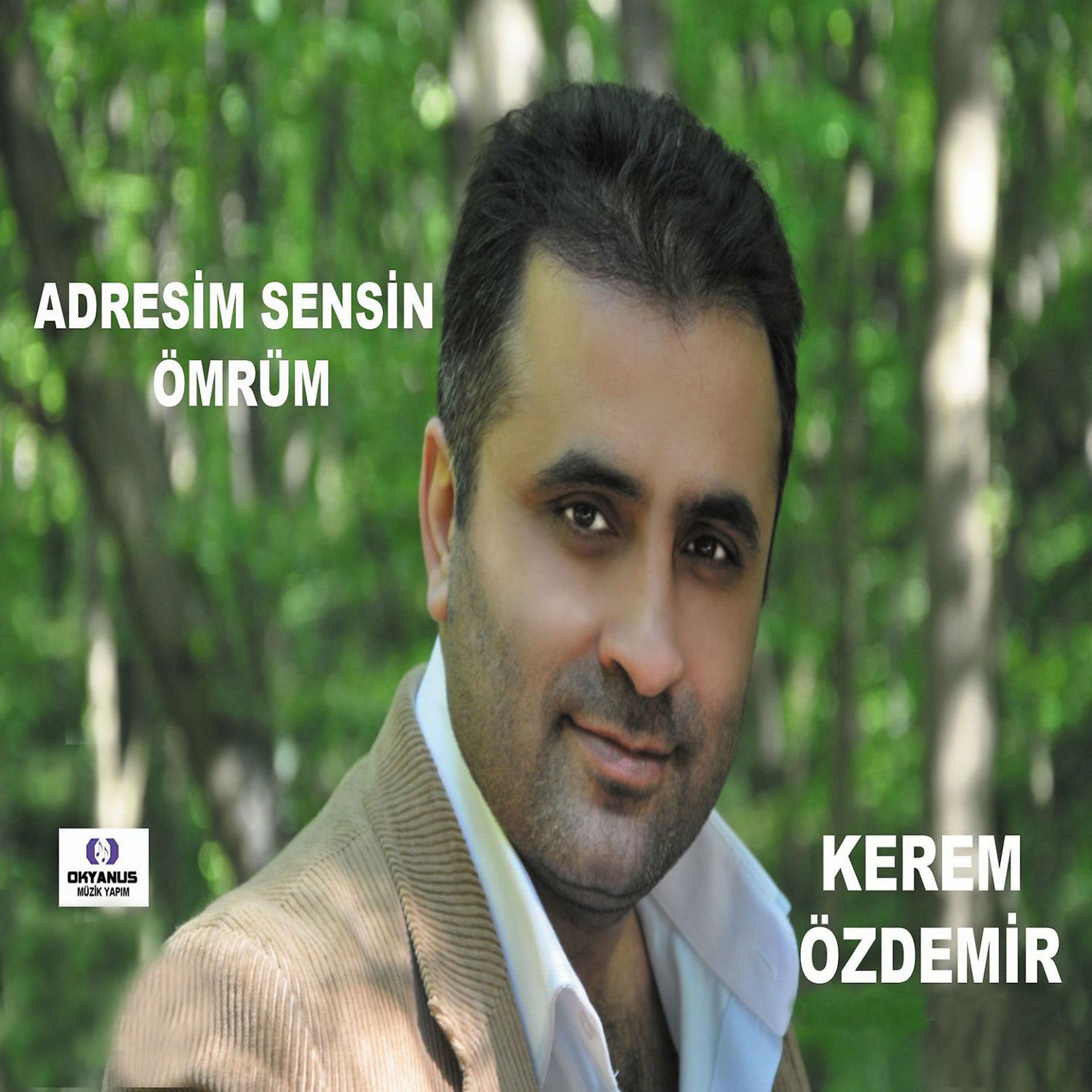Постер альбома Adresim Sensin
