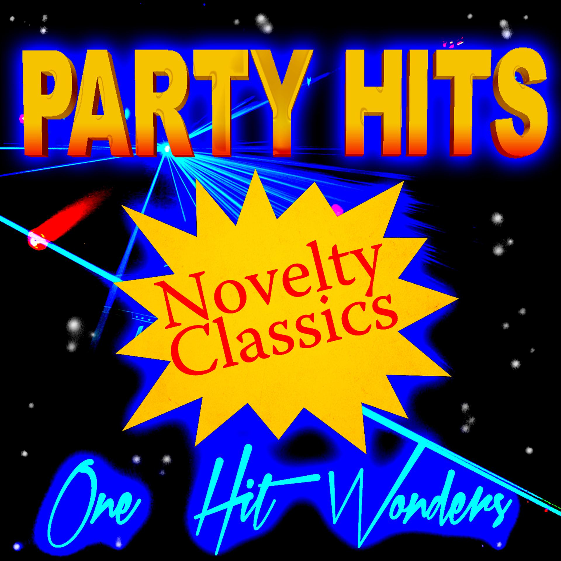 Постер альбома Party Hits Novelty Classics - One Hit Wonders