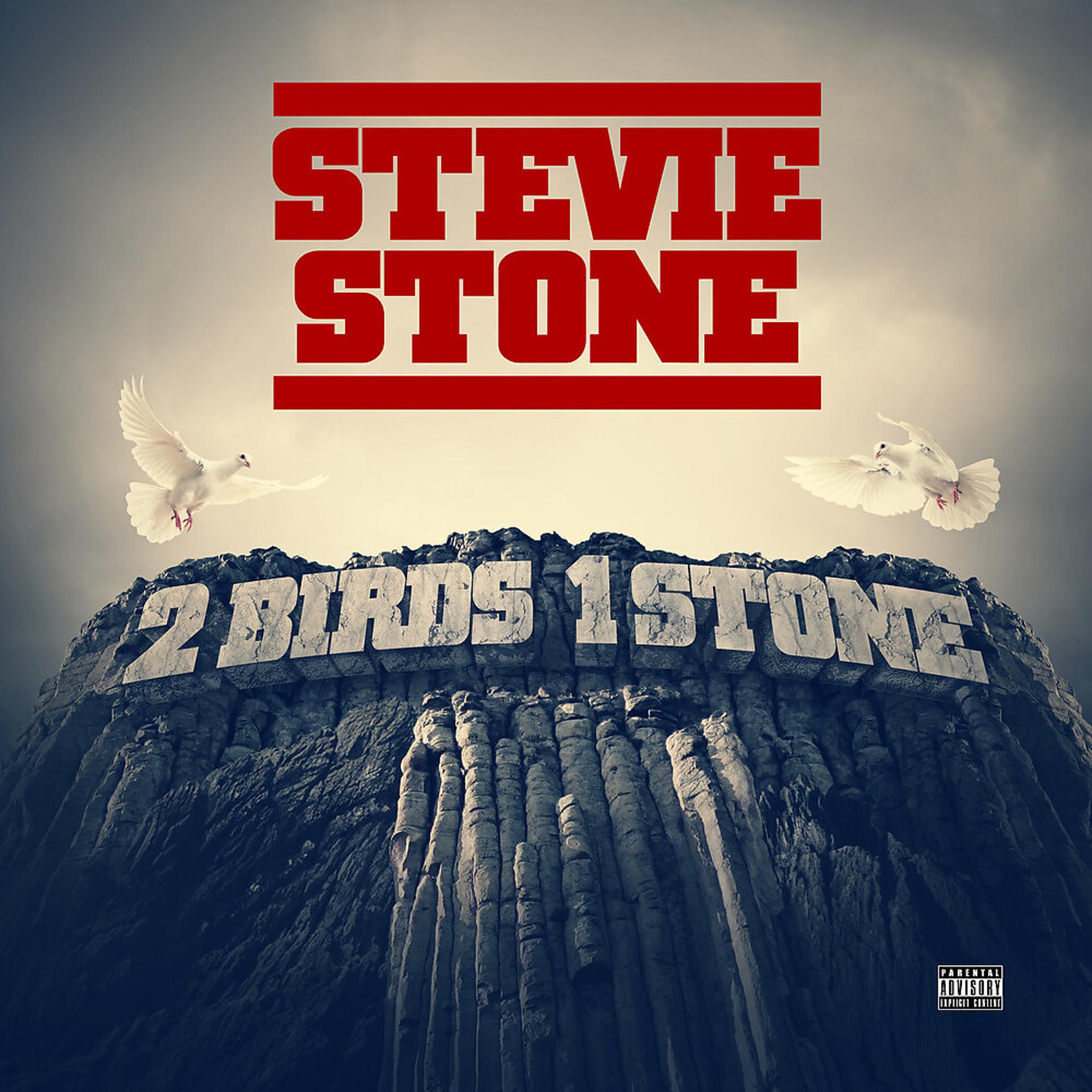 Постер альбома 2 Birds 1 Stone (Deluxe Edition)