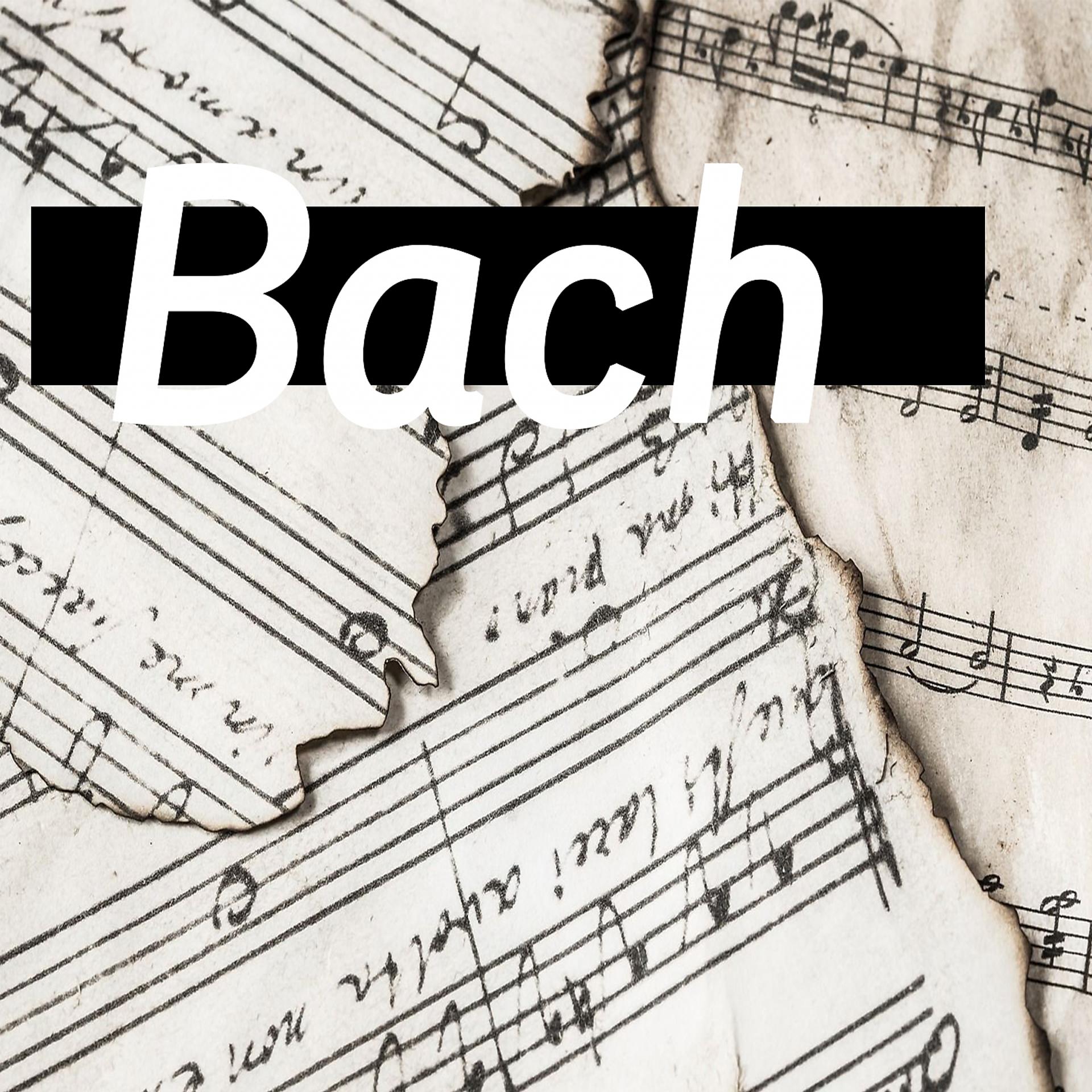 Постер альбома Brandenburg Concerti Bach
