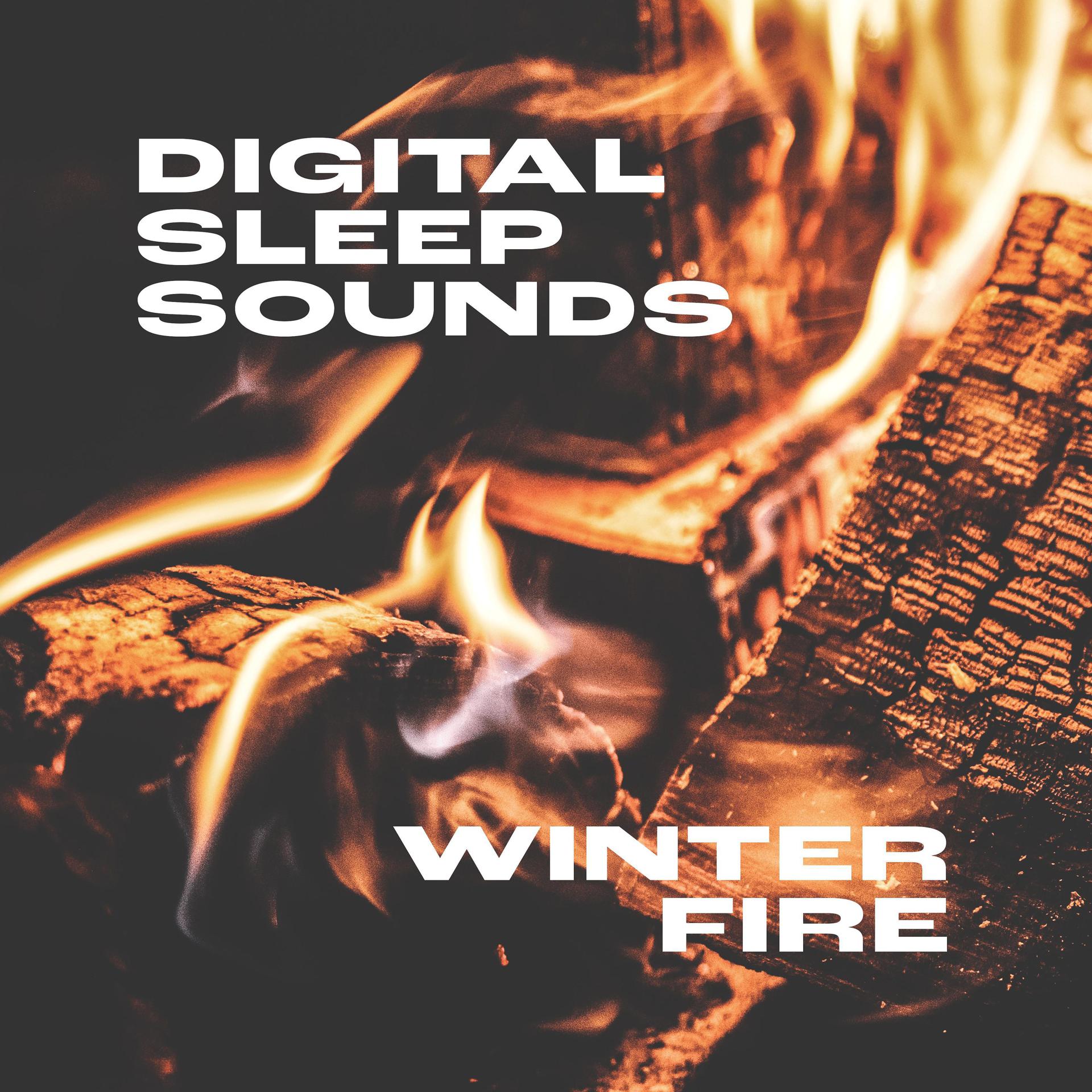 Постер альбома Winter Fire