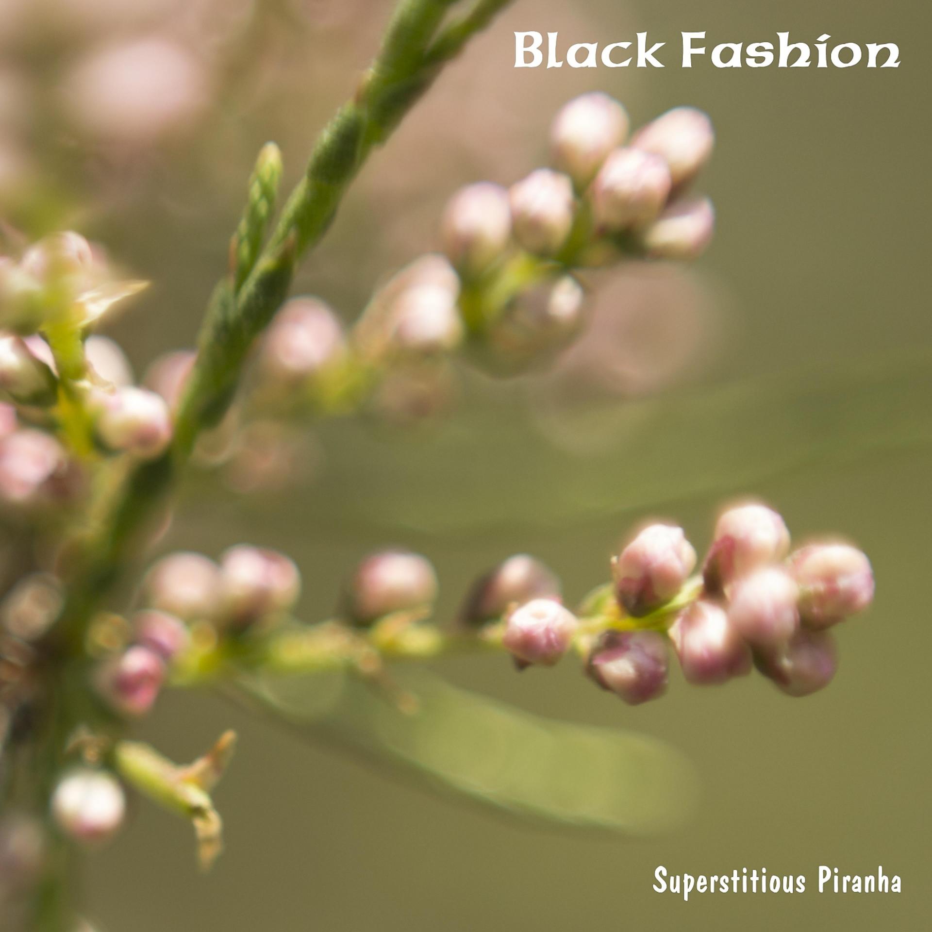 Постер альбома Black Fashion