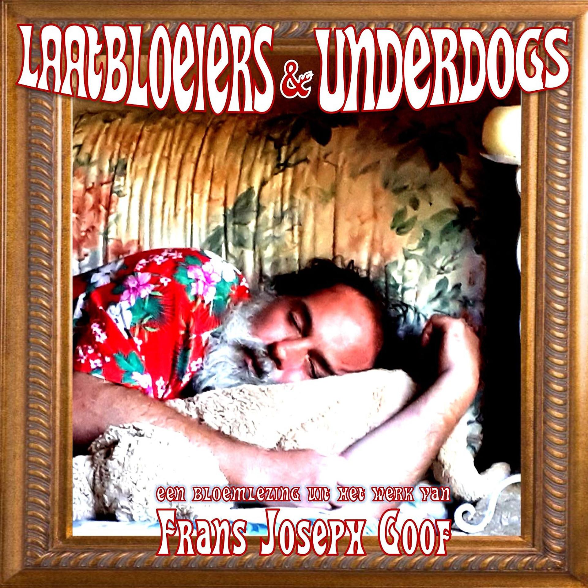Постер альбома Laatbloeiers & Underdogs