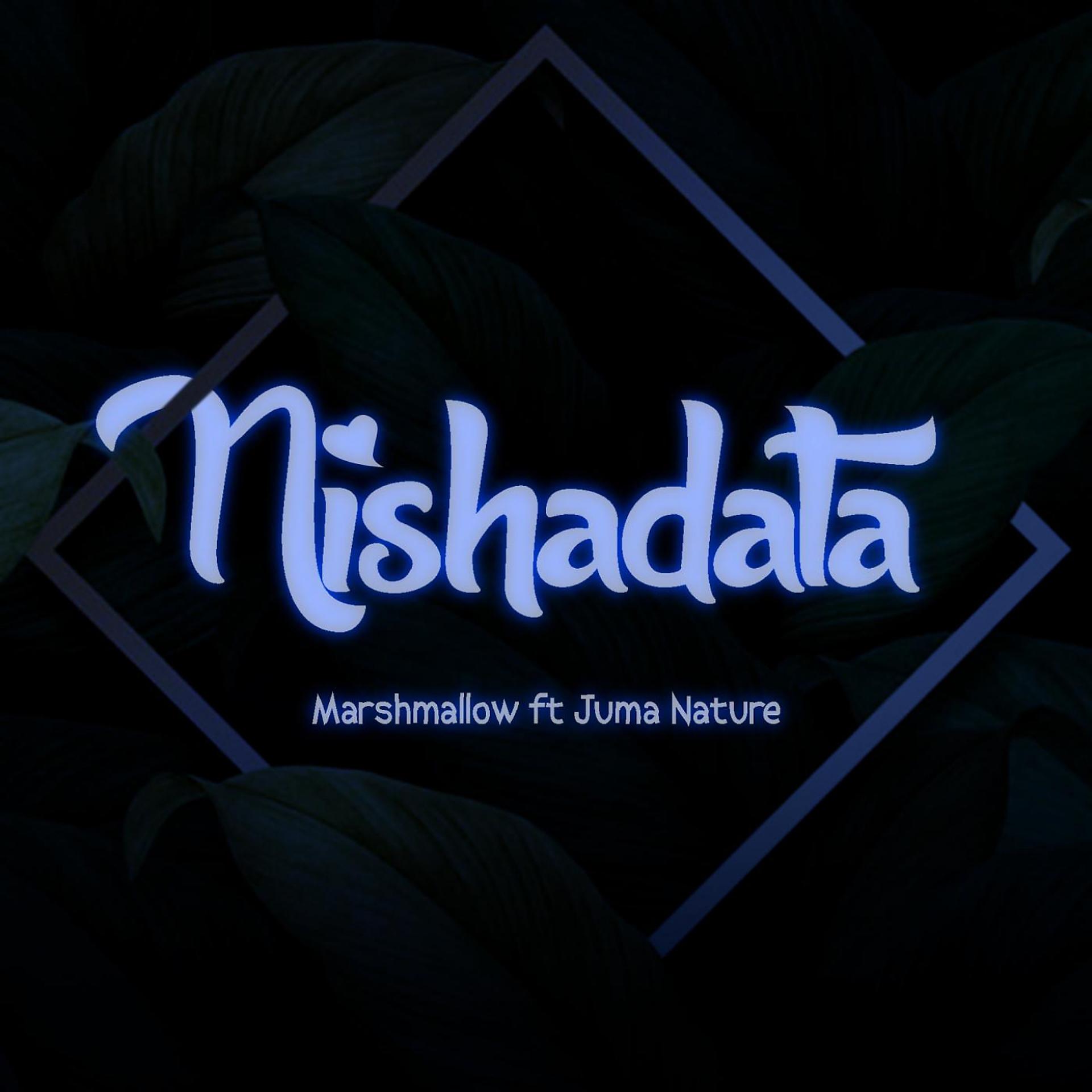 Постер альбома Nishadata