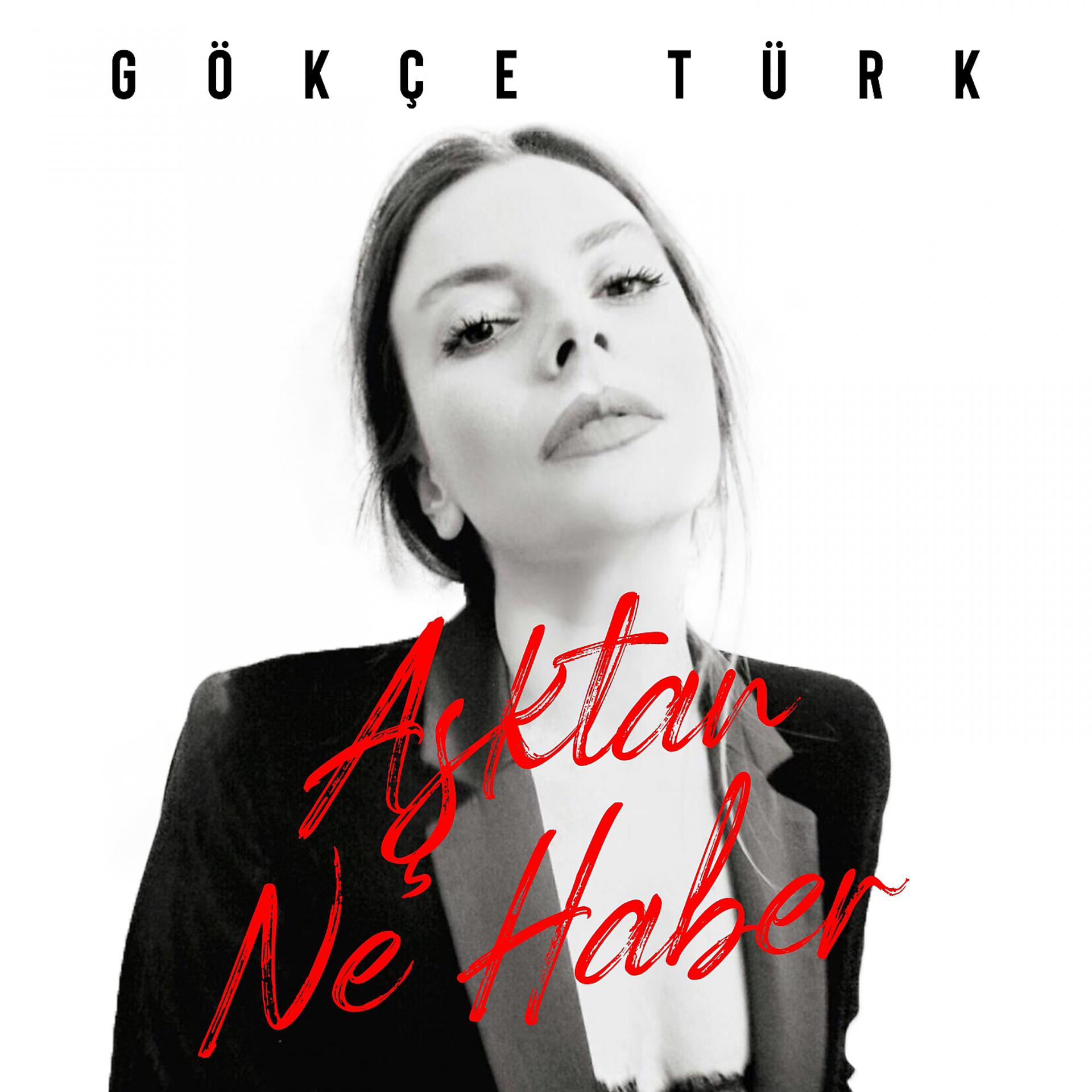 Постер альбома Aşktan Ne Haber
