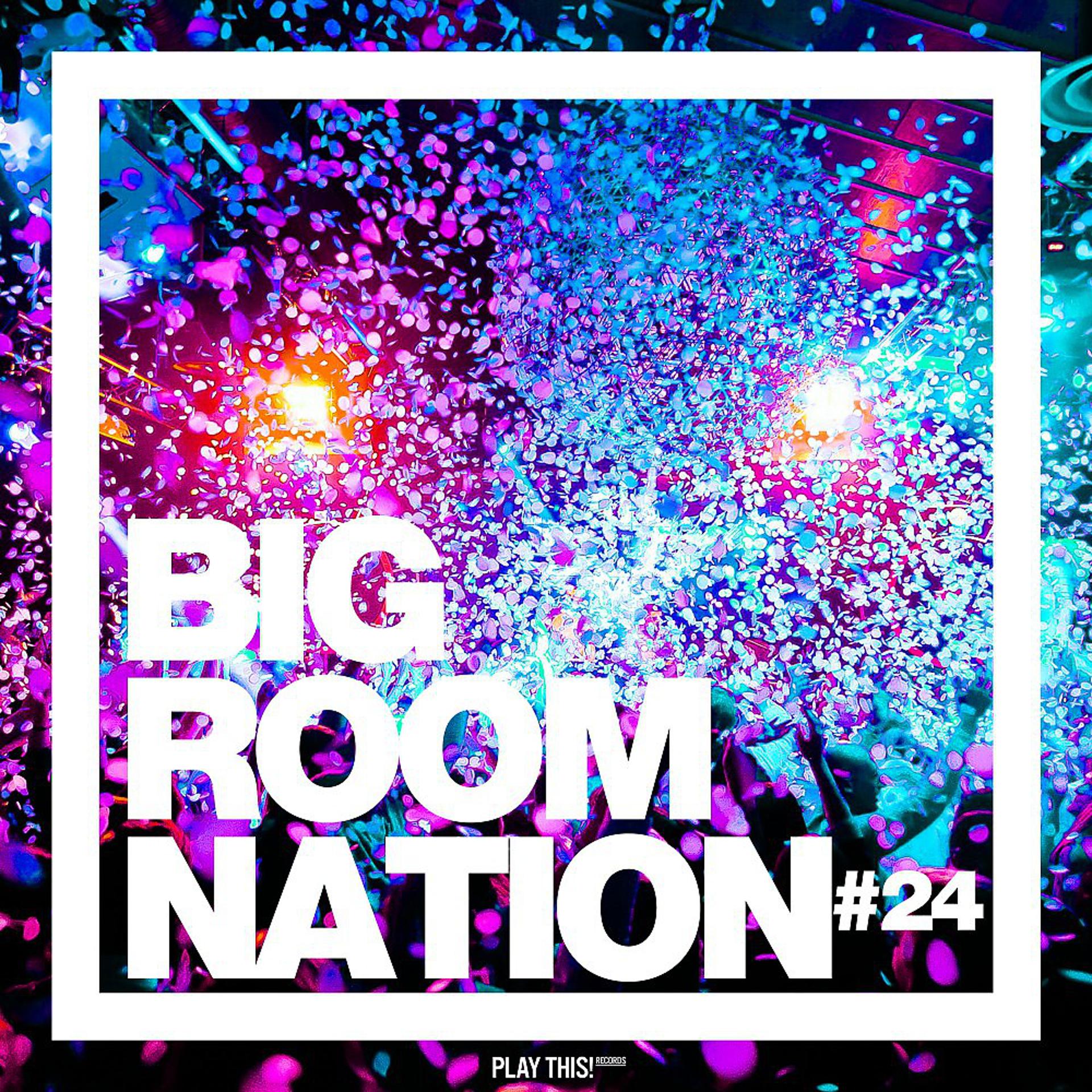 Постер альбома Big Room Nation, Vol. 24