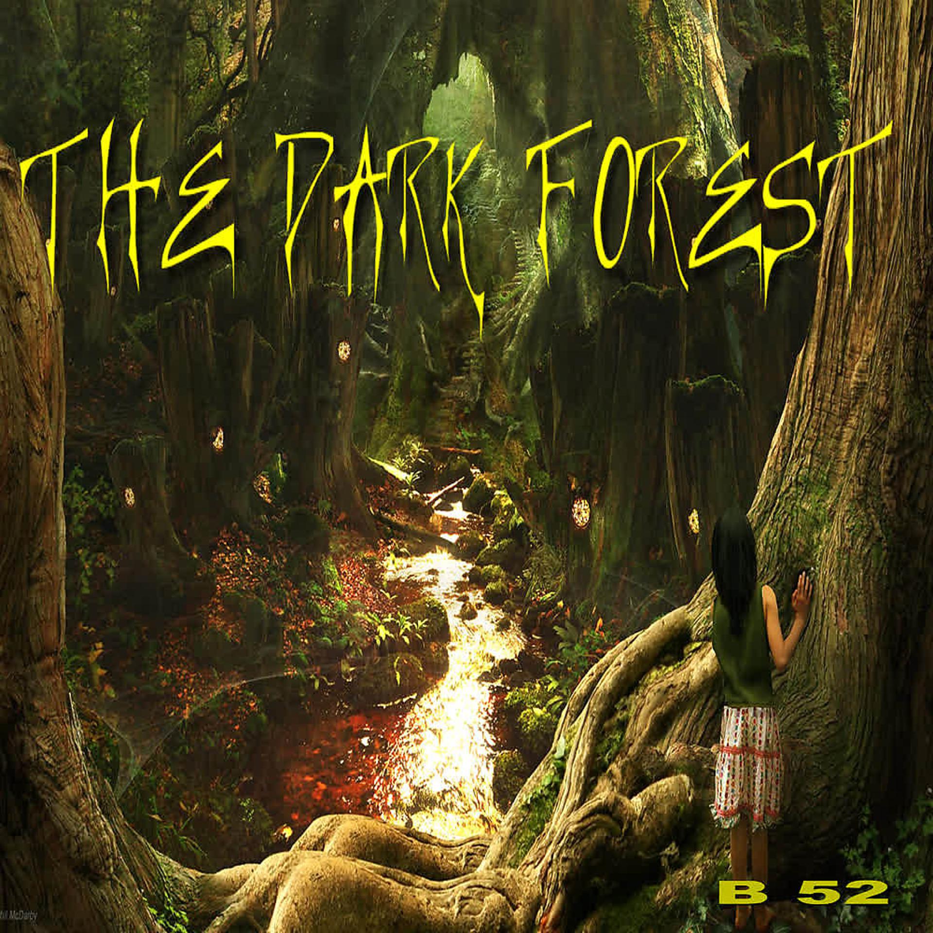 Постер альбома The Dark Forest (Deluxe Edition)