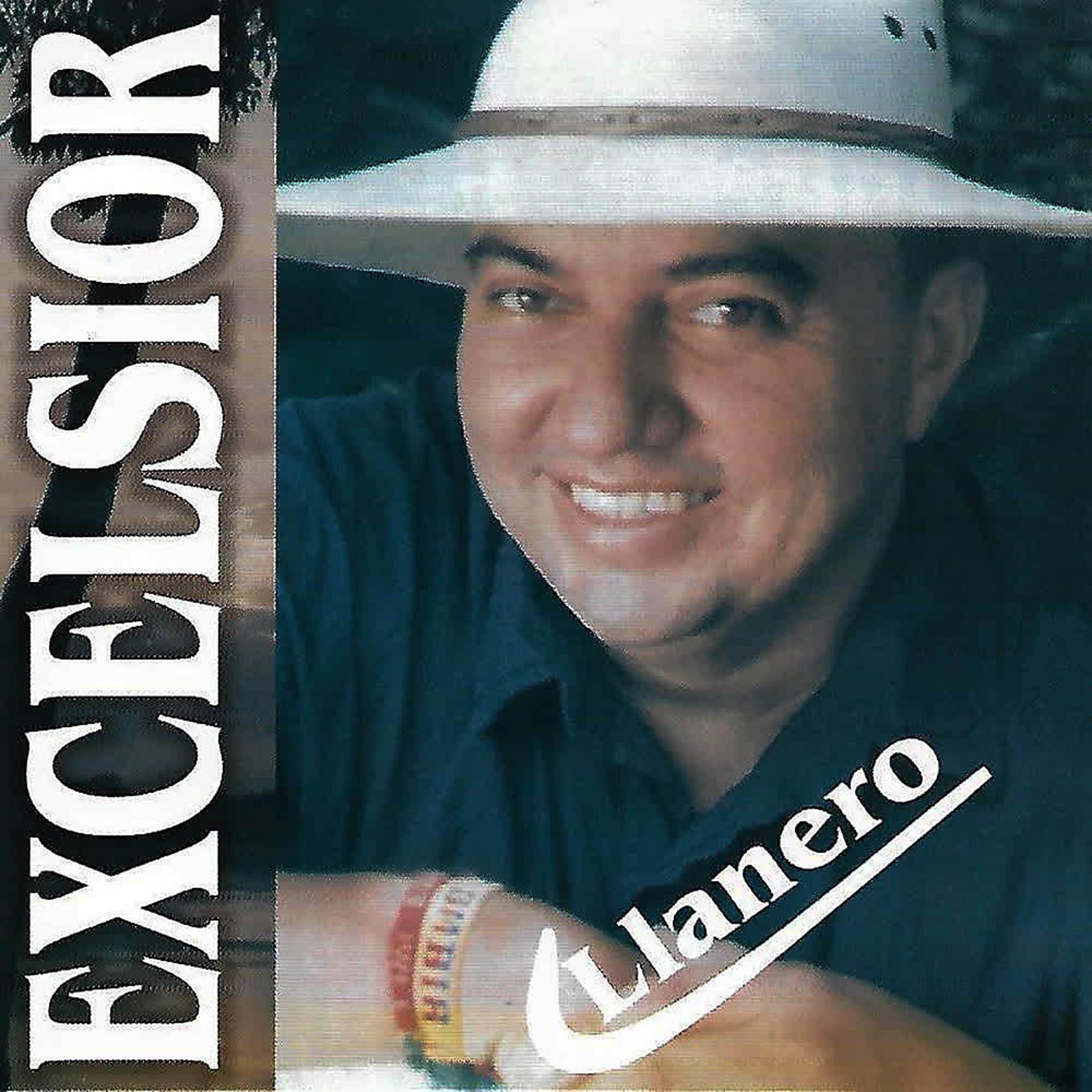 Постер альбома Llanero