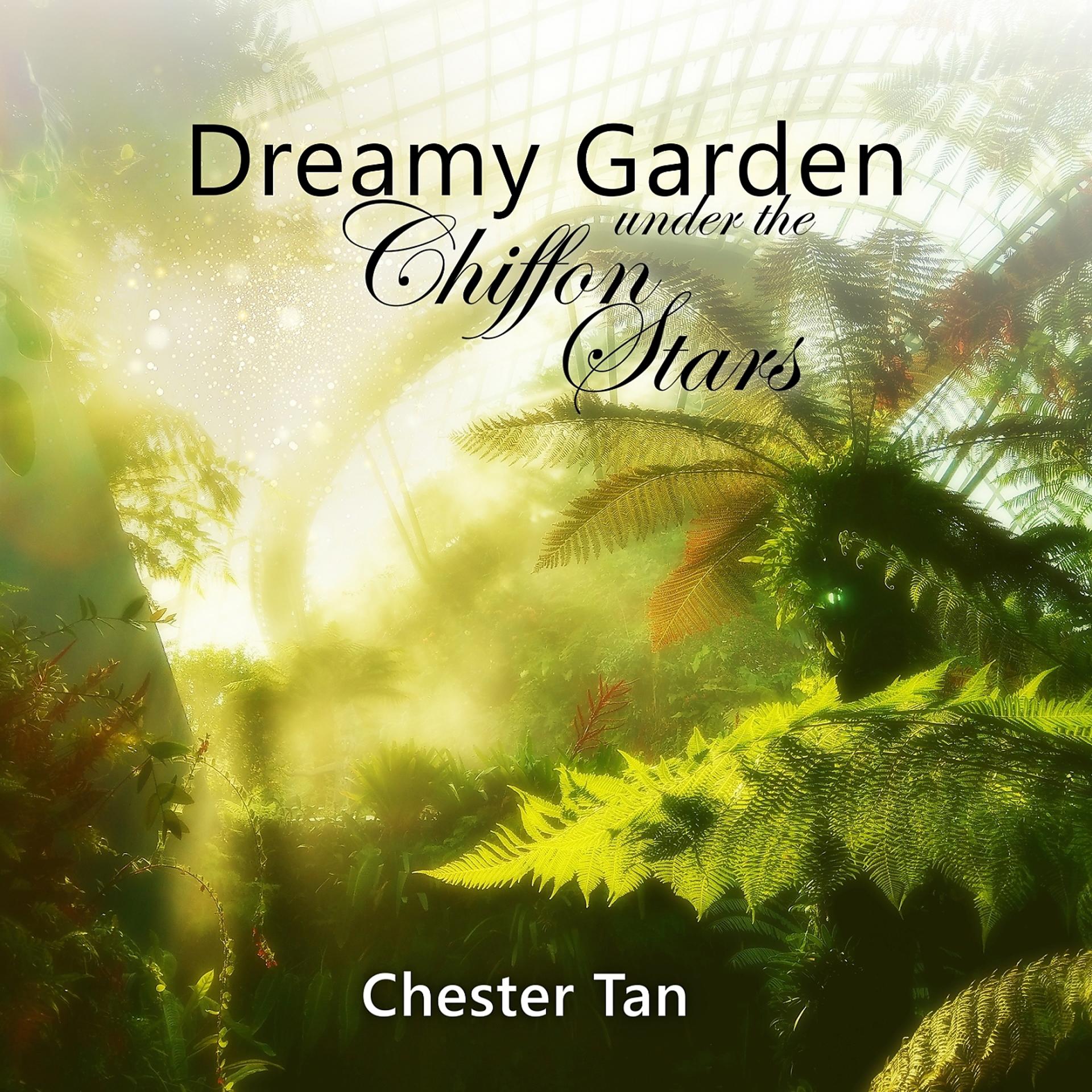Постер альбома Dreamy Garden Under The Chiffon Stars