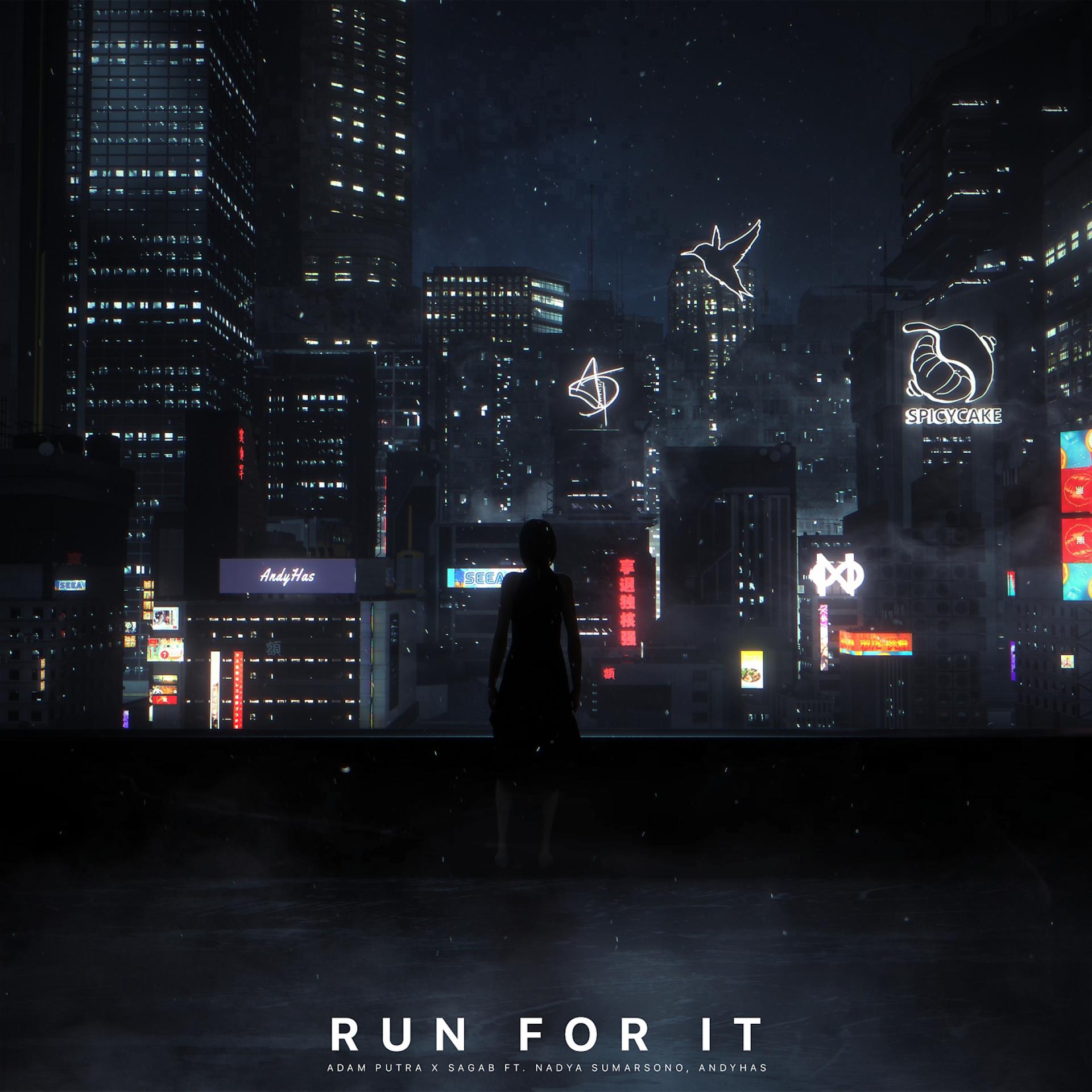 Постер альбома Run For It