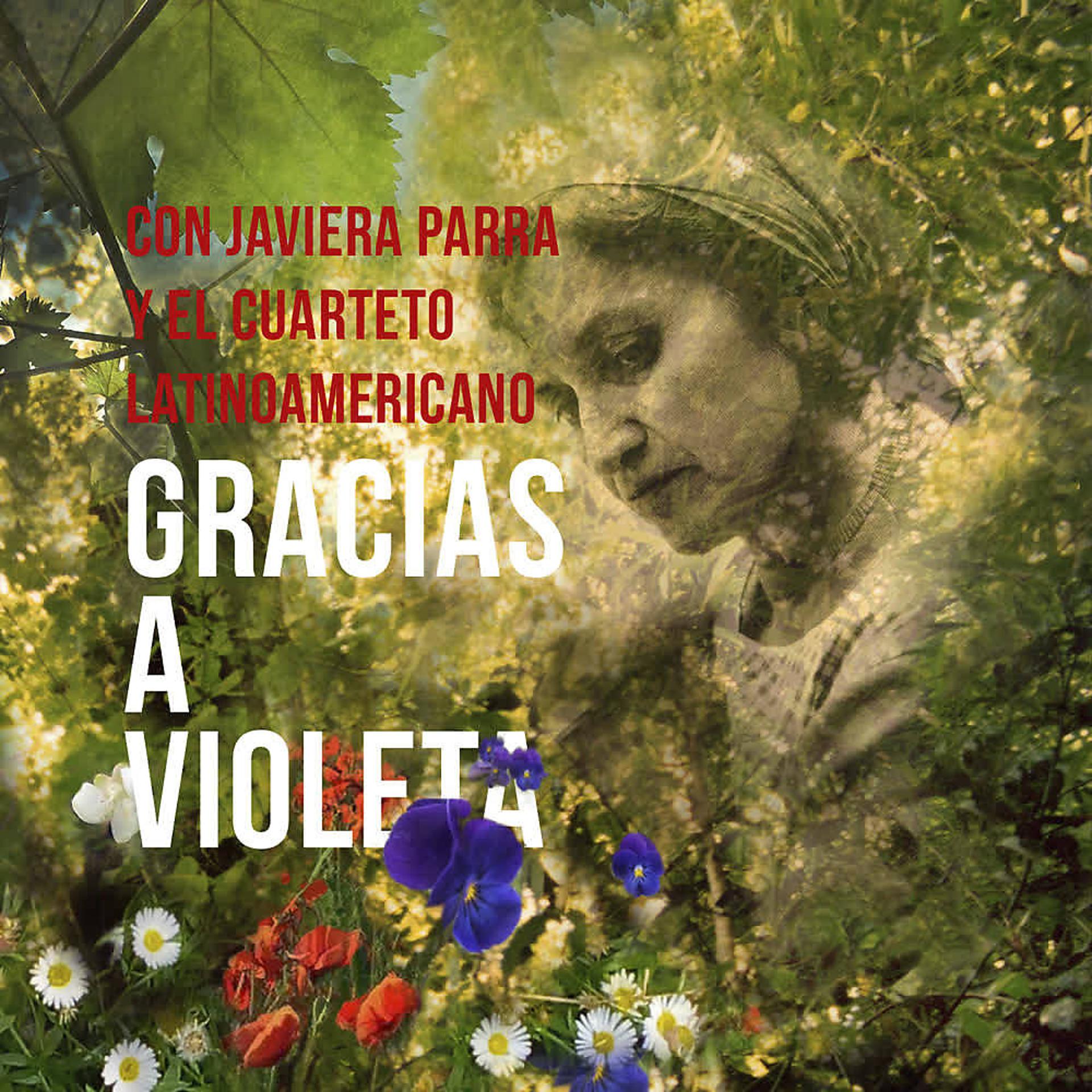 Постер альбома Gracias a Violeta