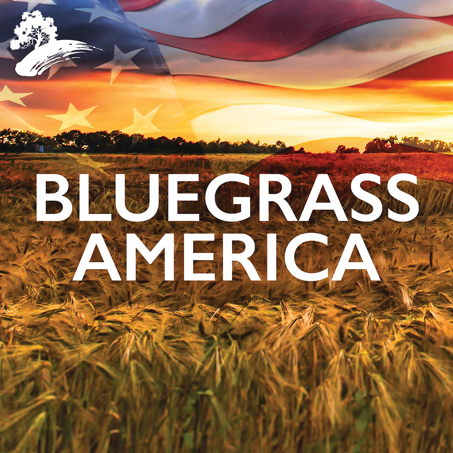 Постер альбома Bluegrass America