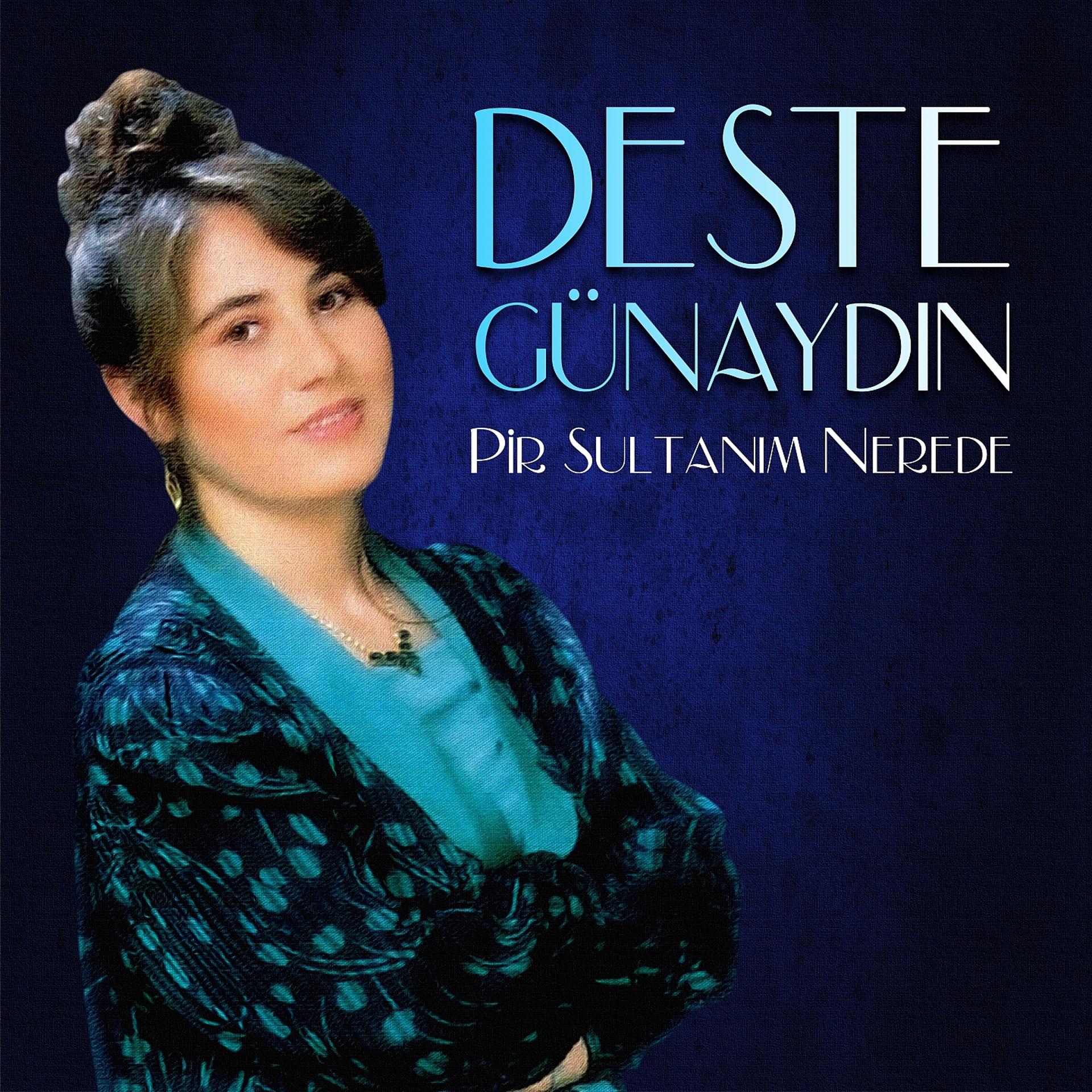 Постер альбома Pir Sultanım Nerede