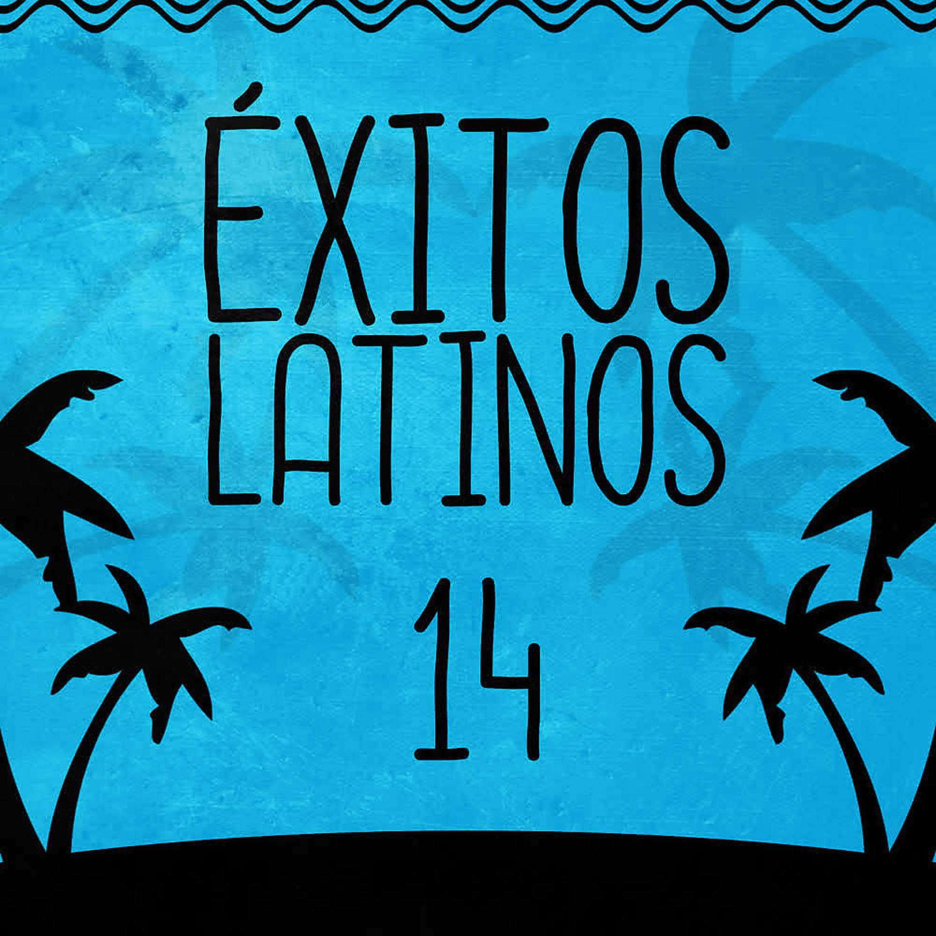 Постер альбома Éxitos Latinos (Volumen 14)