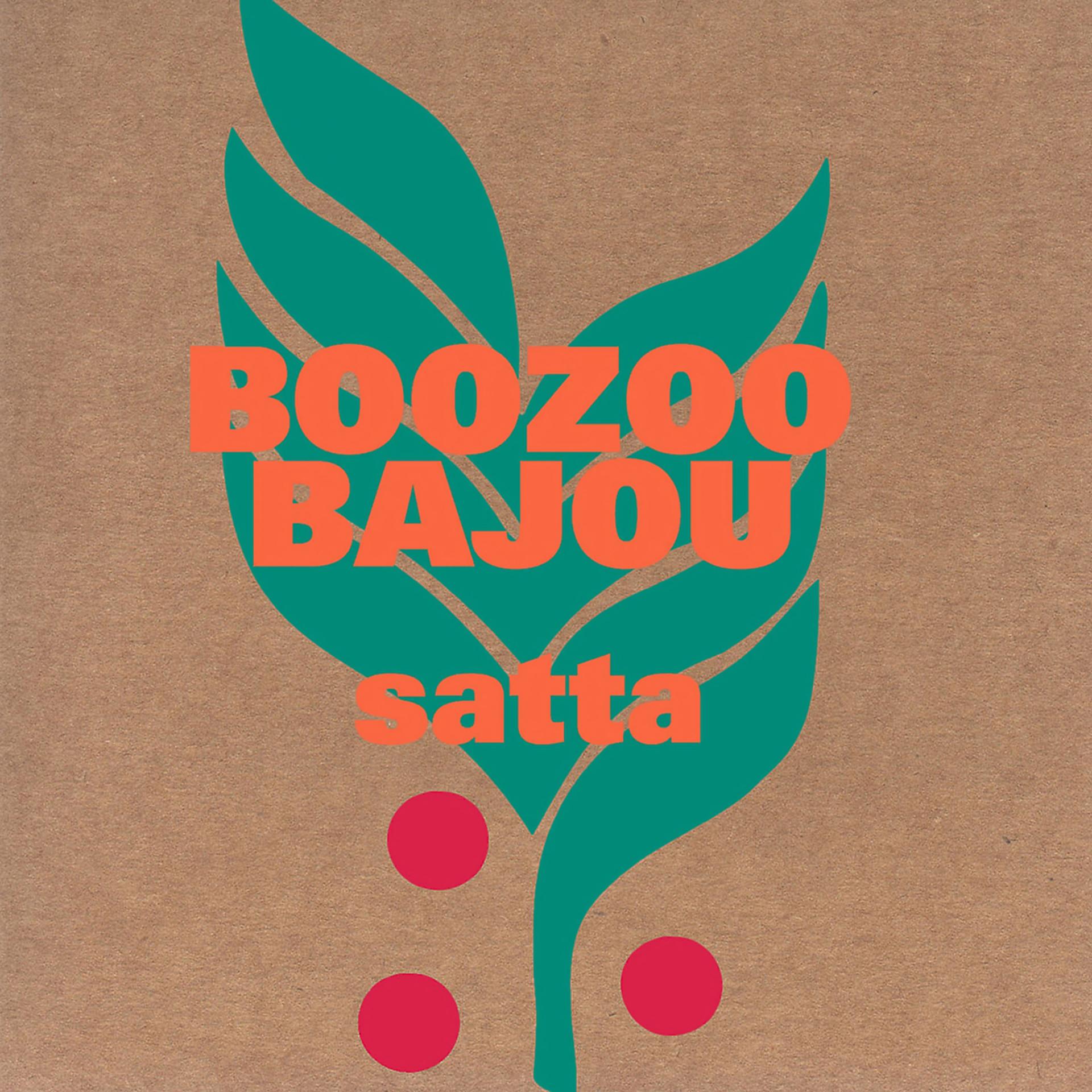 Постер альбома Satta