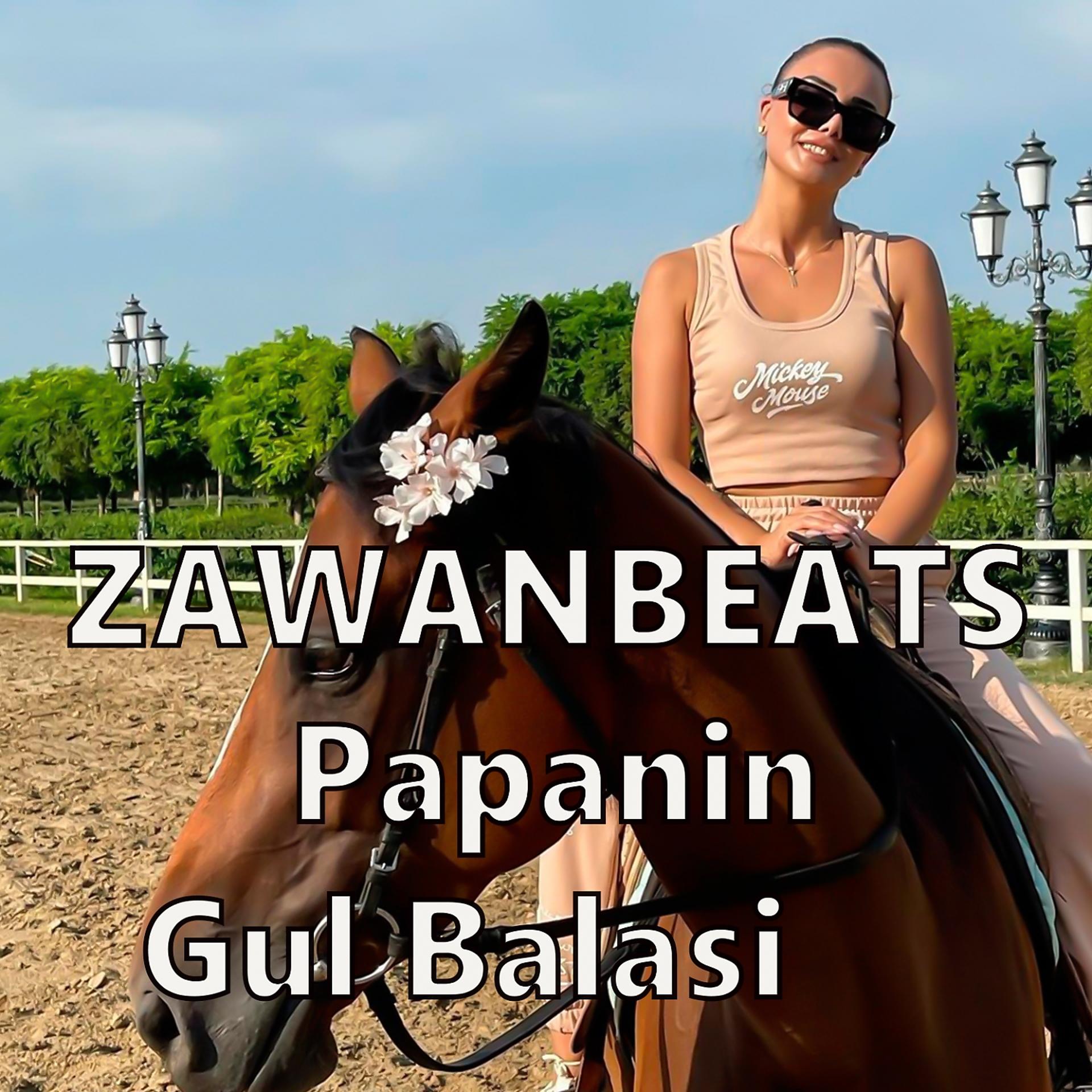 Постер альбома Papanin Gul Balasi