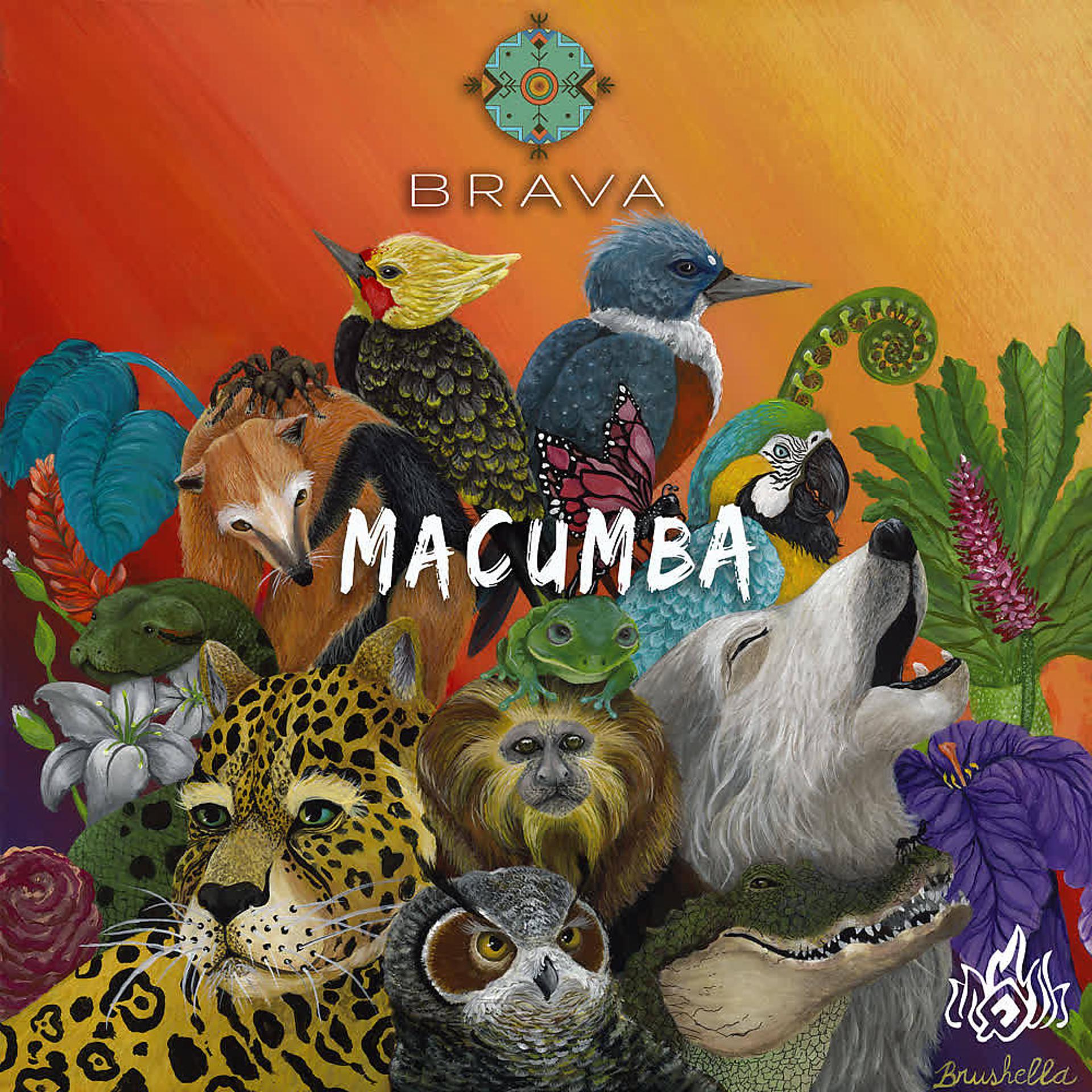 Постер альбома Macumba de un Sol
