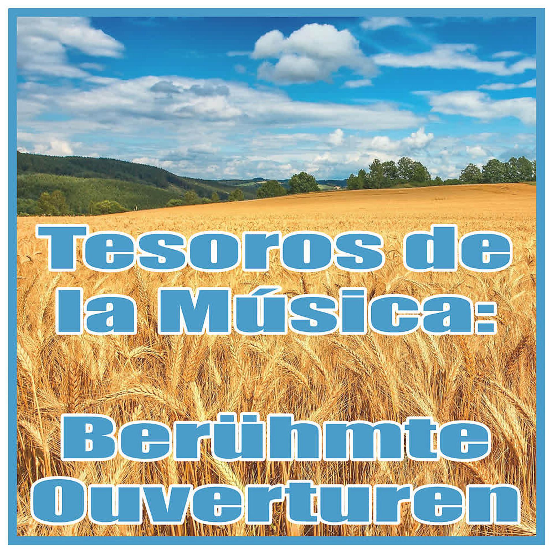 Постер альбома Tesoros de la Música: Berühmte Ouverturen