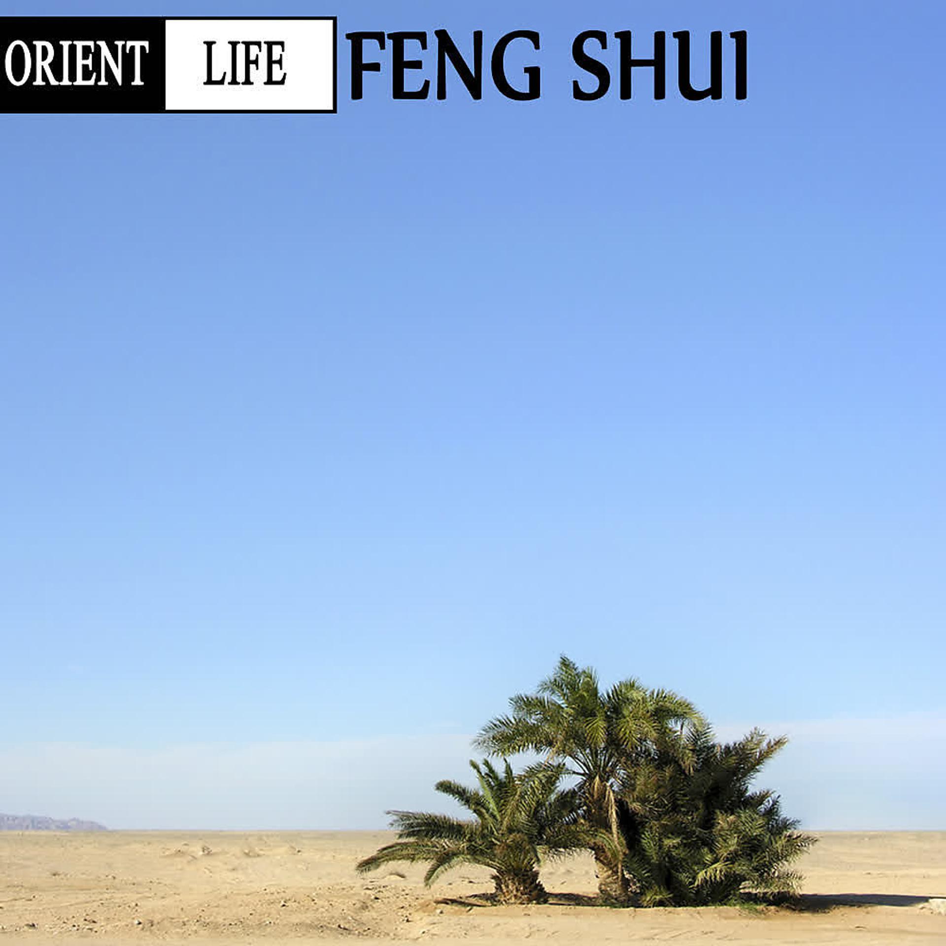 Постер альбома Orient Life. Feng Shui